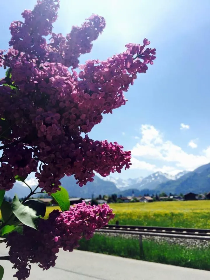 Spring in Hotel Garni Regina