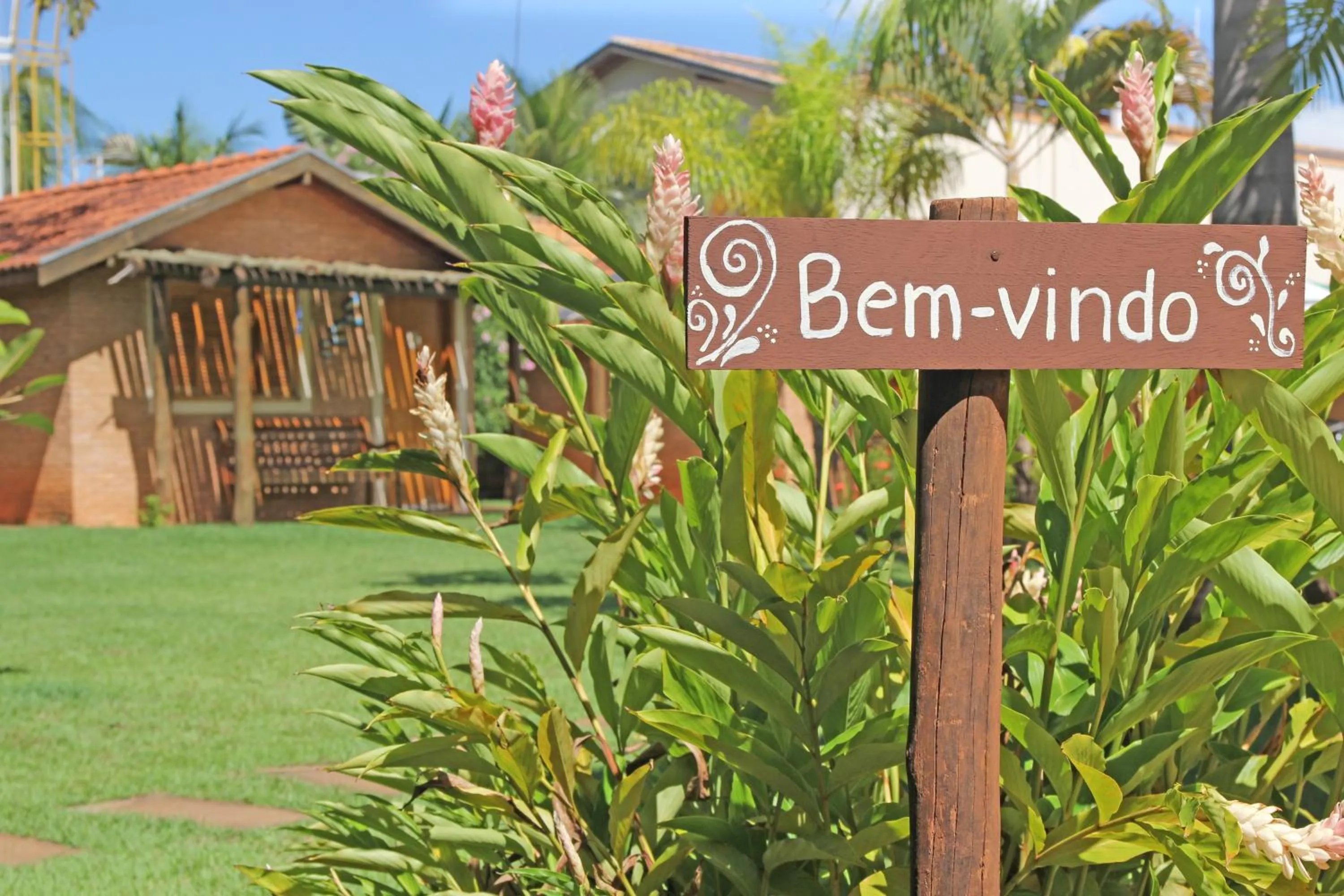 Garden in Pousada Faruk