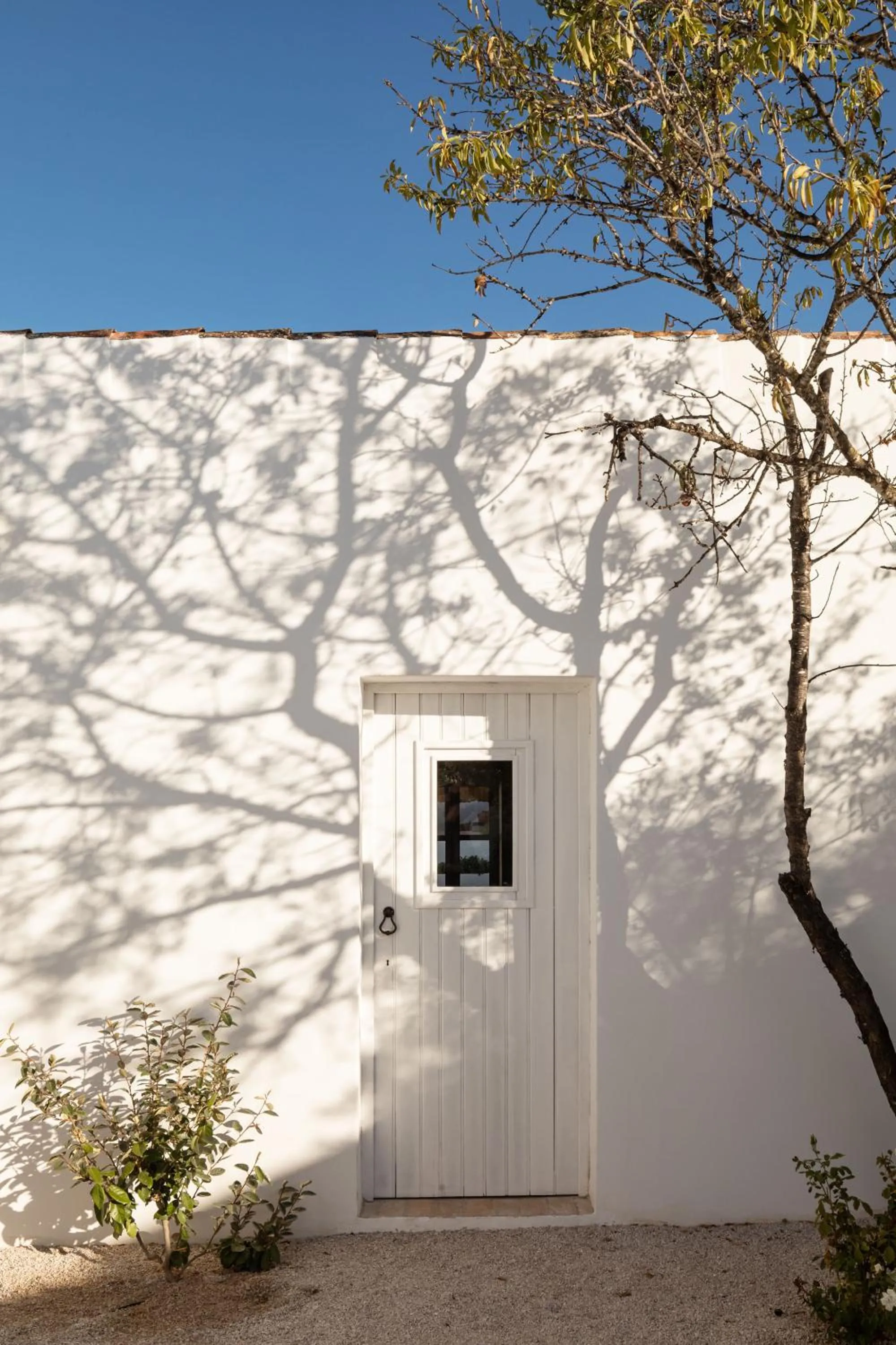 Property building in Hospedaria