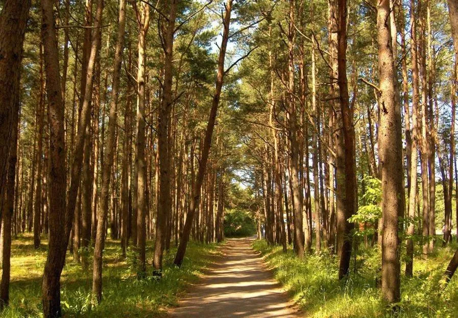 Area and facilities in Beluga