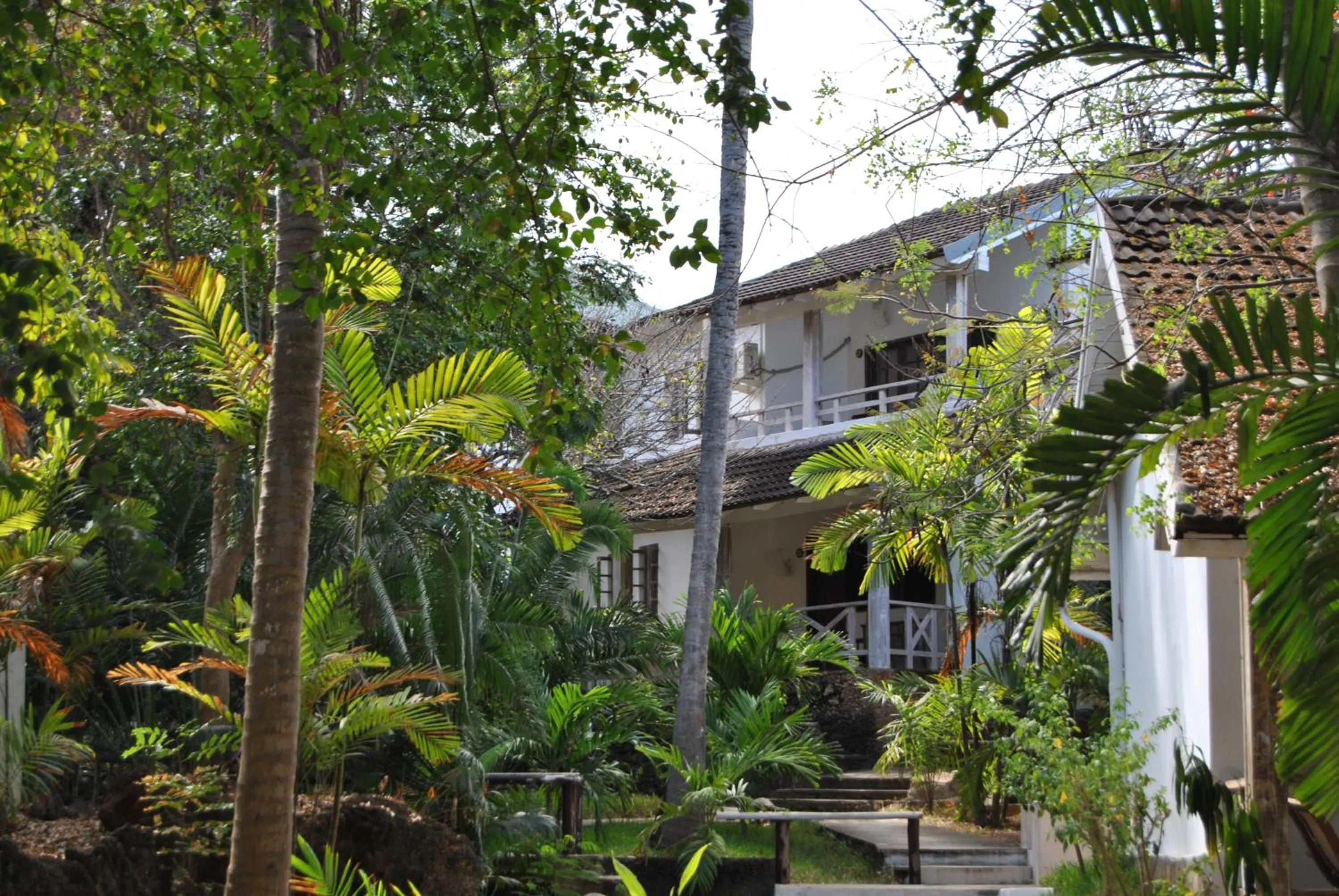 Garden view in White Elephant Sea Lodge