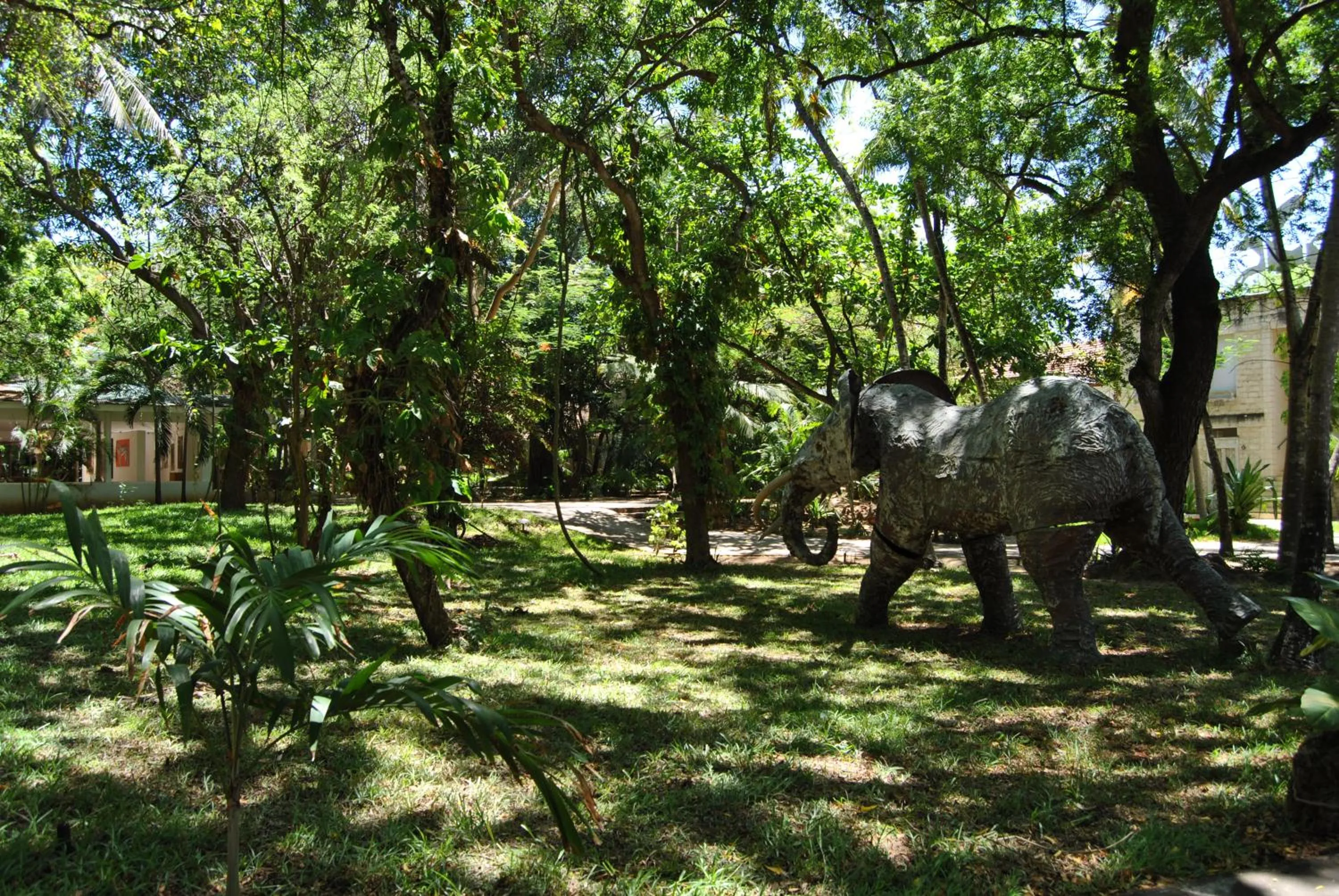 Garden in White Elephant Sea Lodge