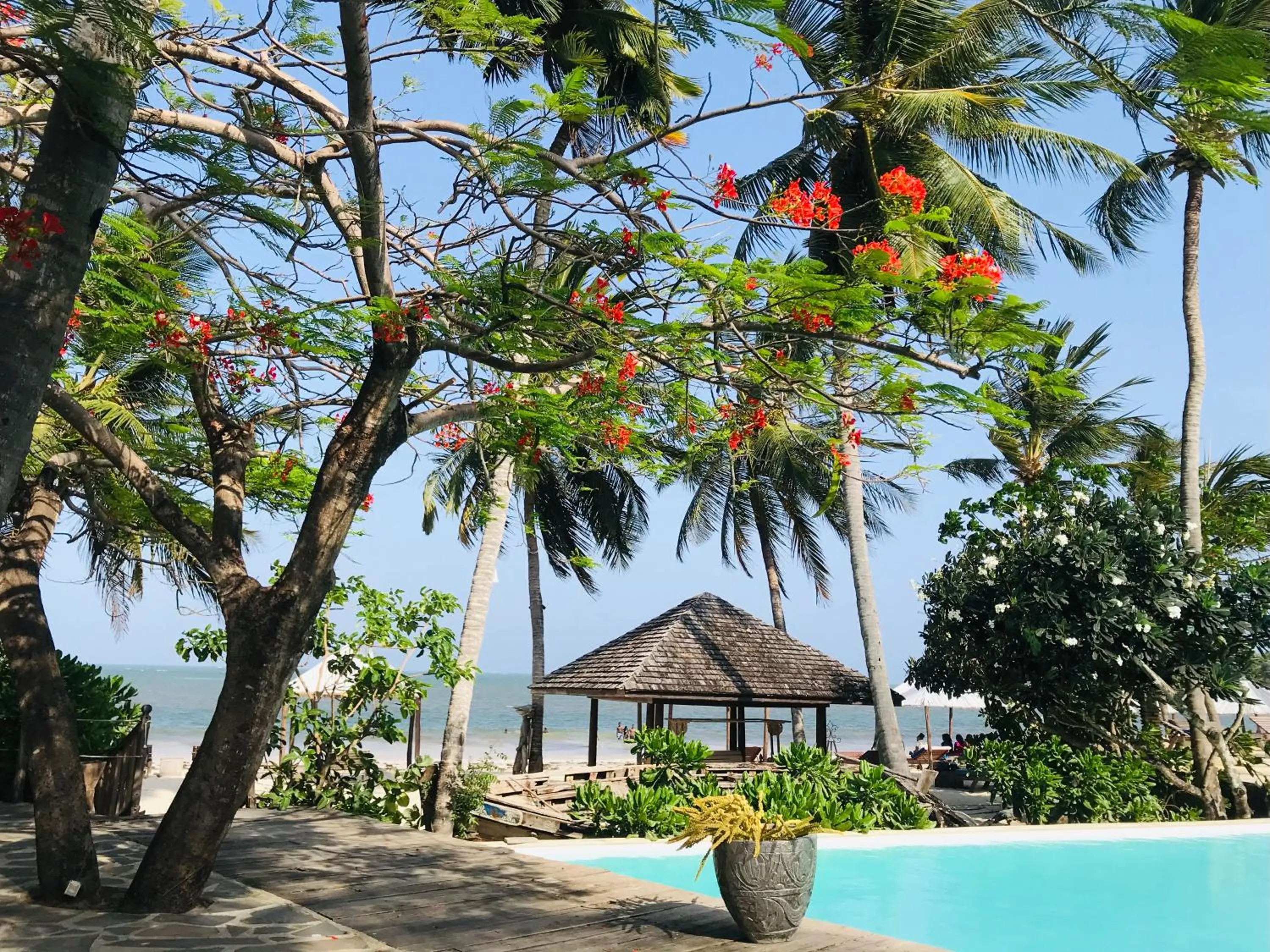 Restaurant/places to eat in White Elephant Sea Lodge