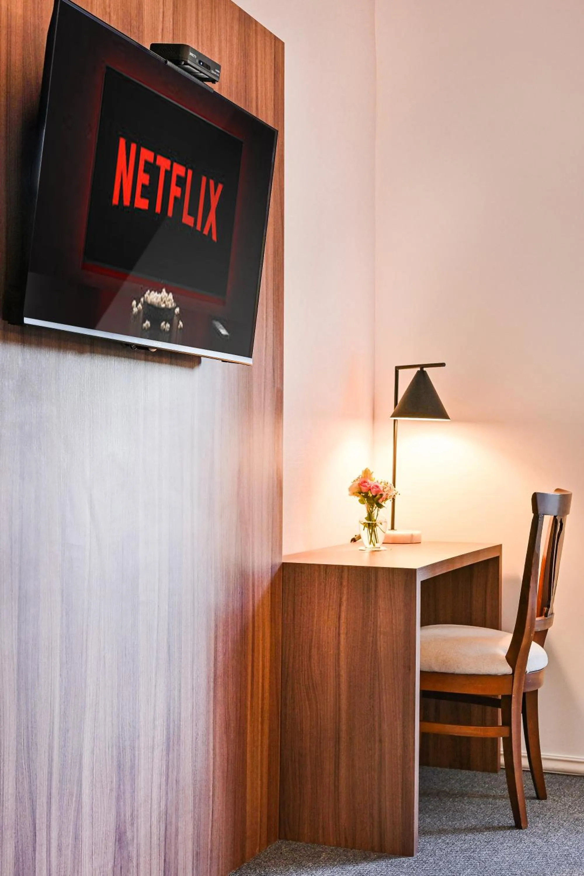 TV and multimedia in Parque Hotel Jean Clevers