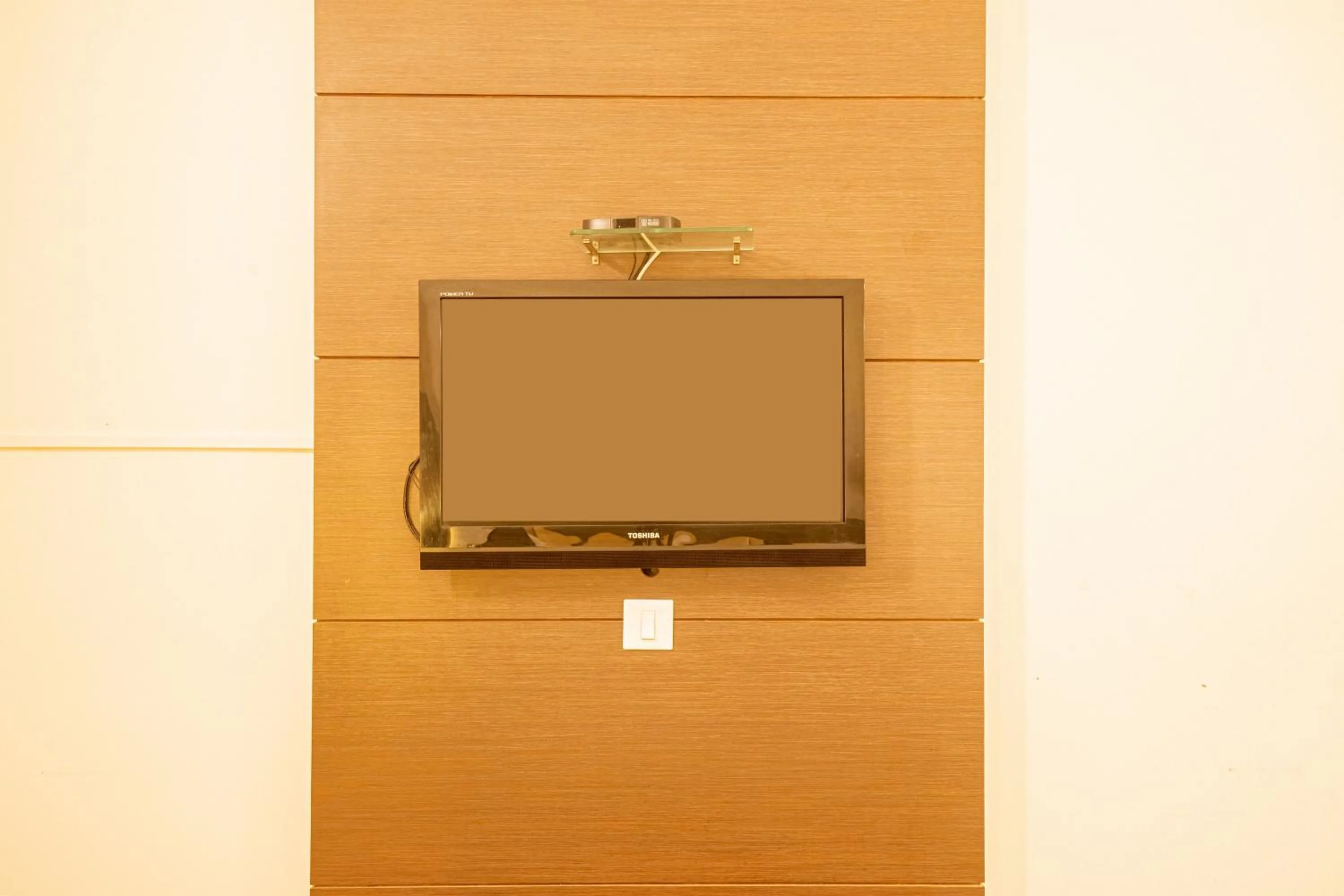 TV and multimedia in Sri Krishna Palace