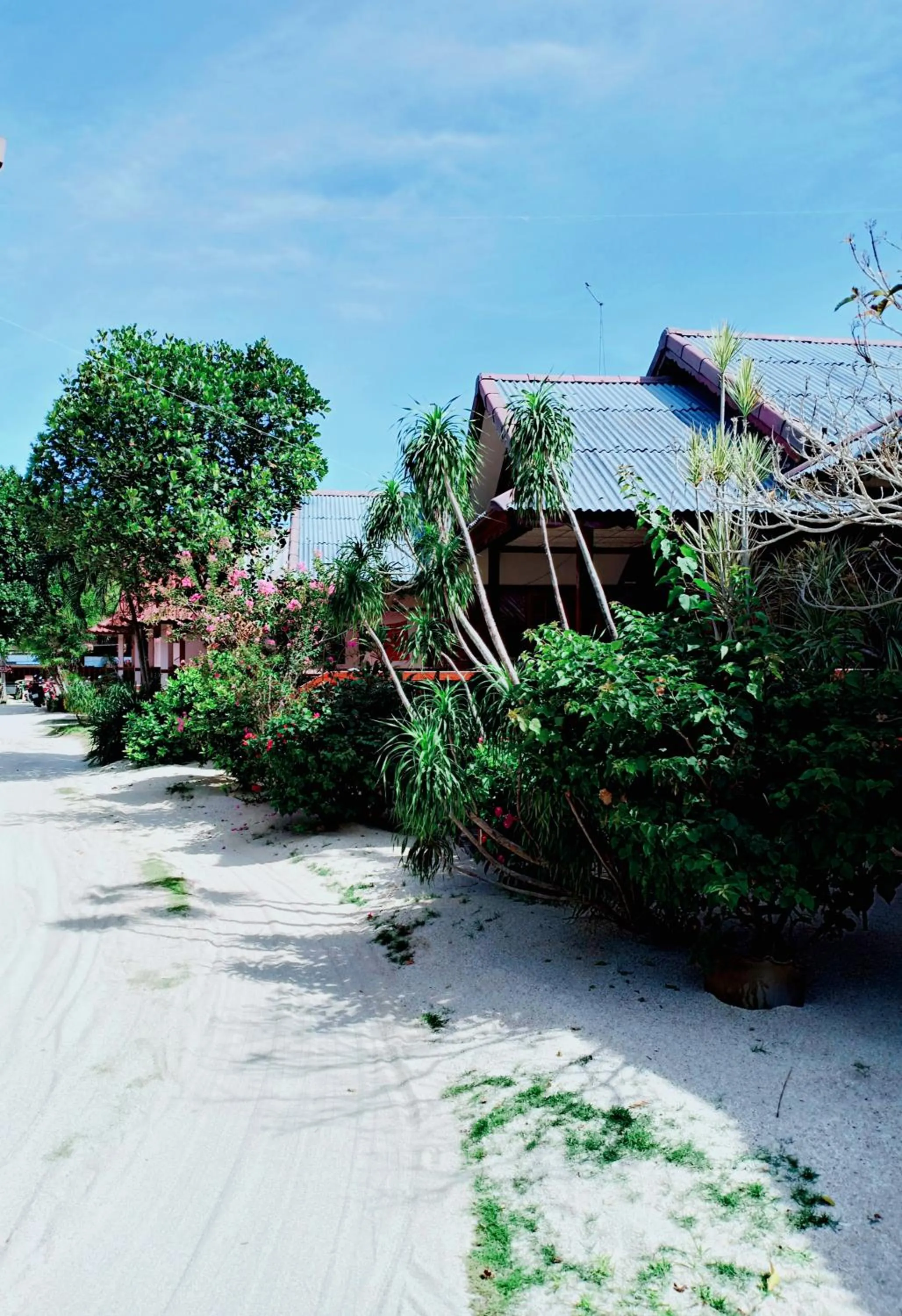 Day in Silver Beach Bungalow