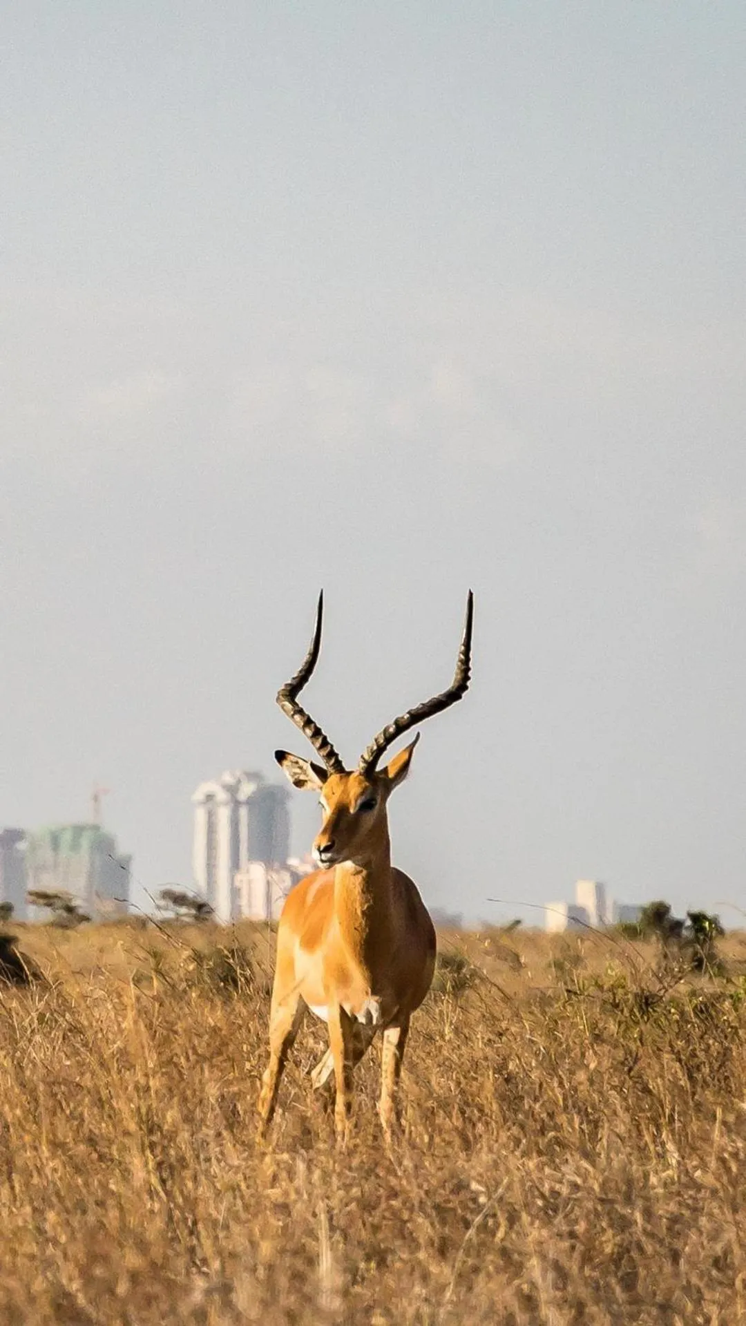 On site in Villa Rosa Kempinski