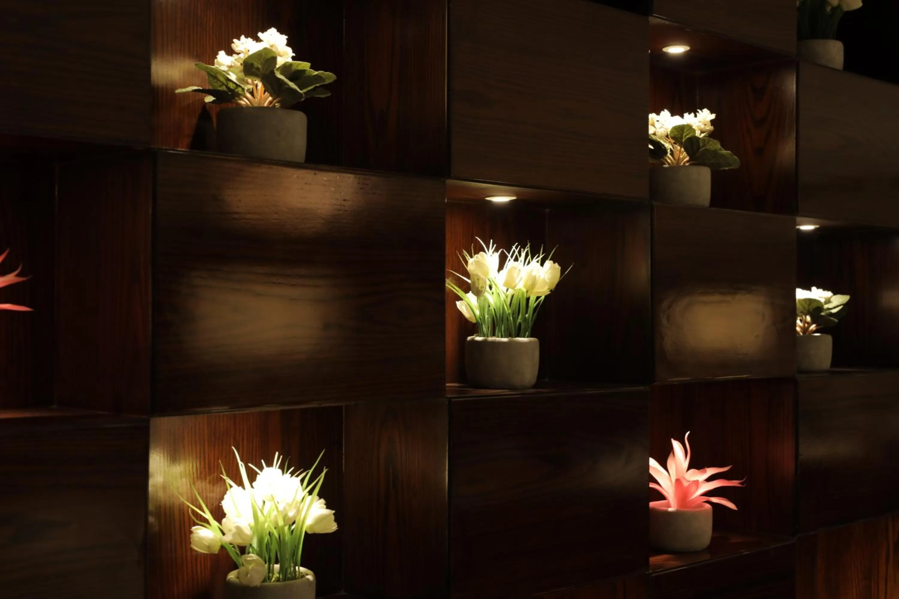 Property building in Best Western Darbar