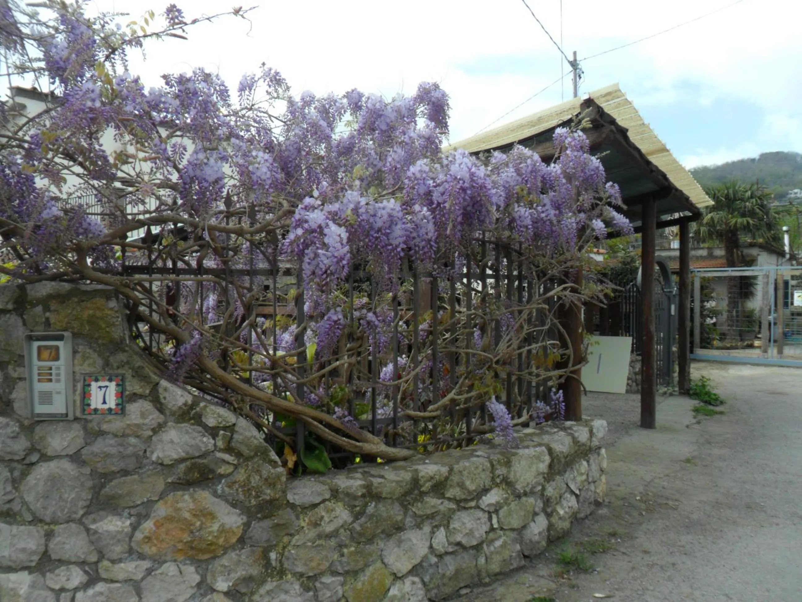 Garden in Casa Vacanze Li Galli