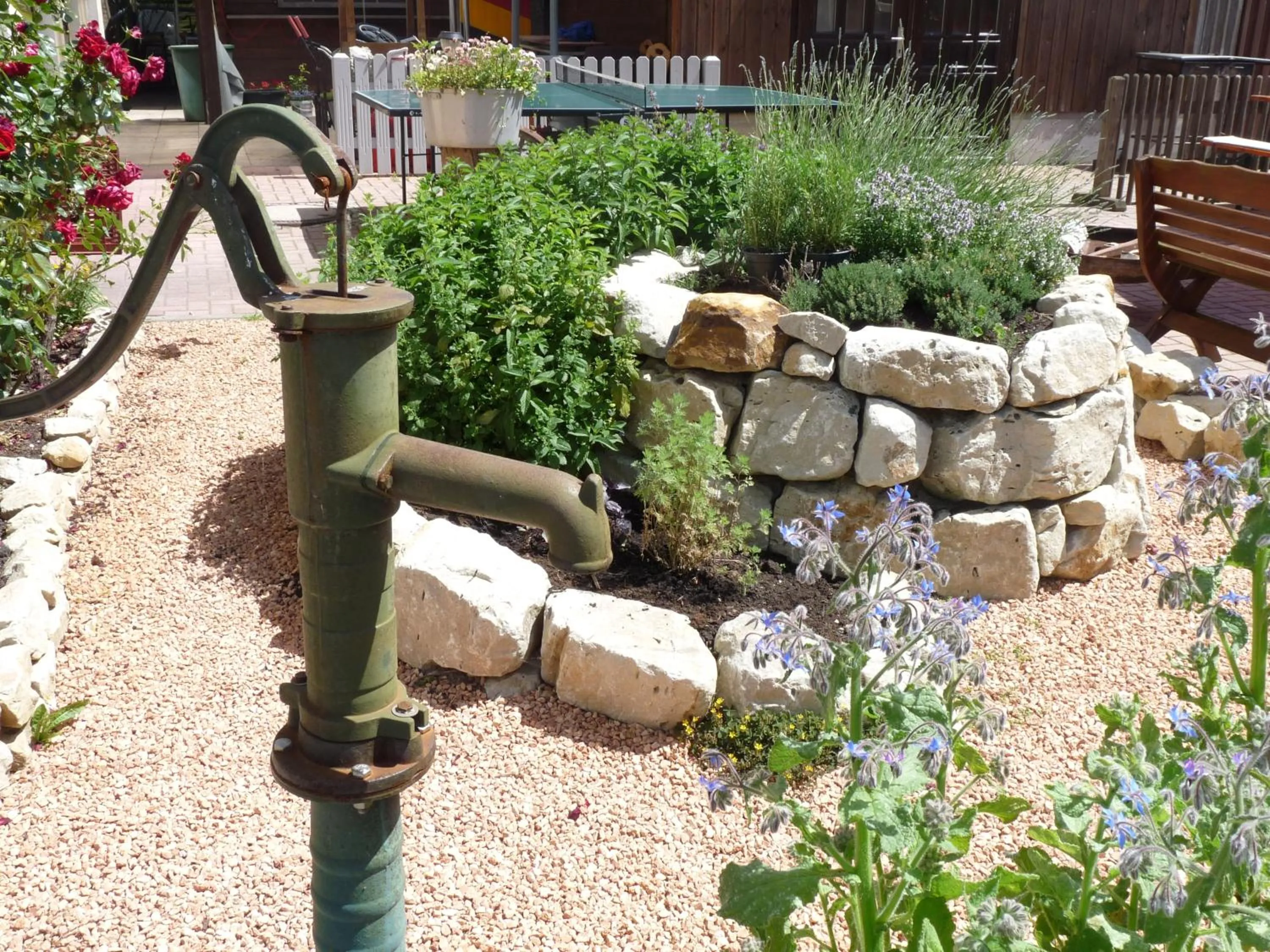 Garden in Hotel zur Kanone