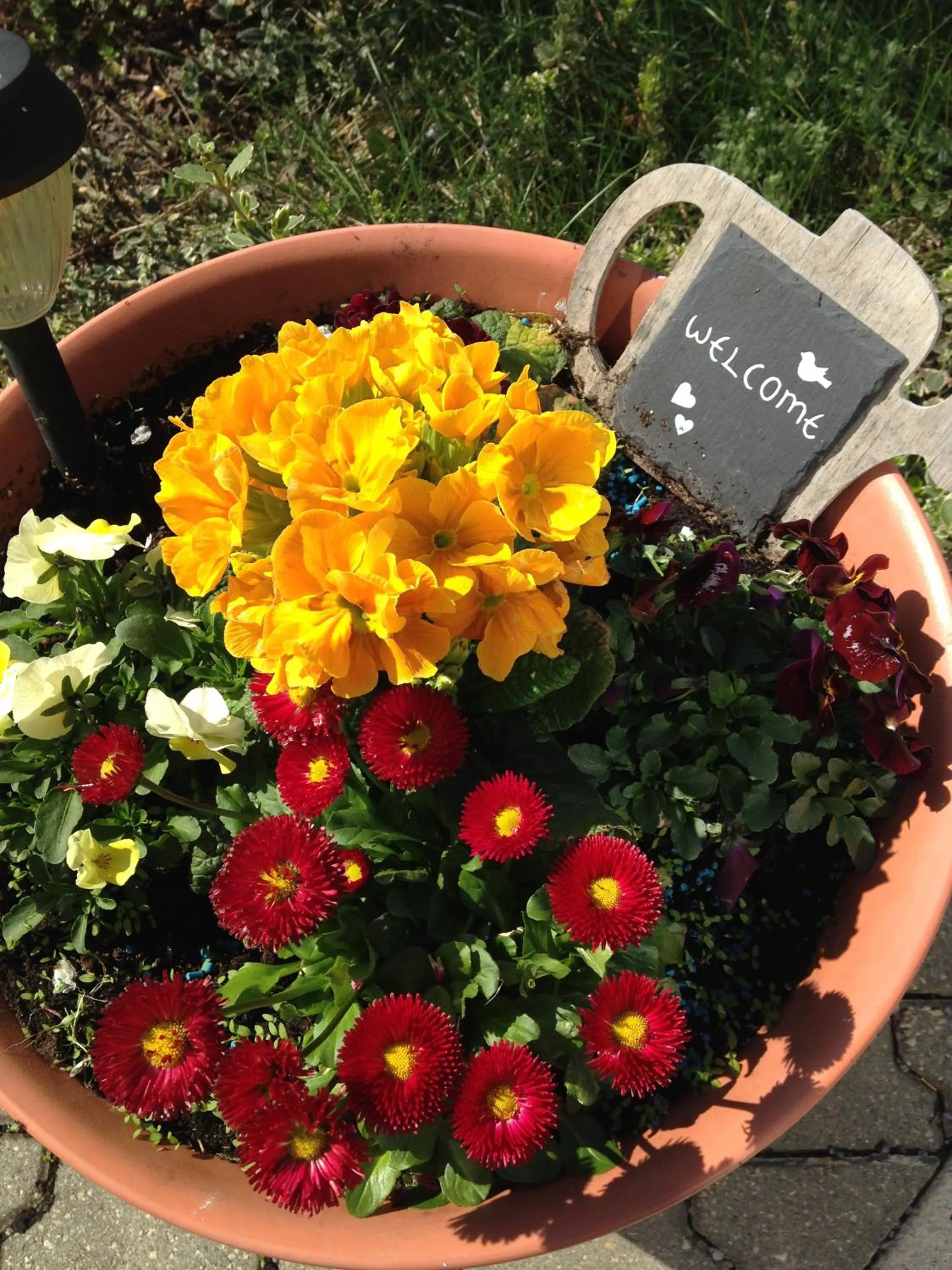 Garden in Hotel zur Kanone