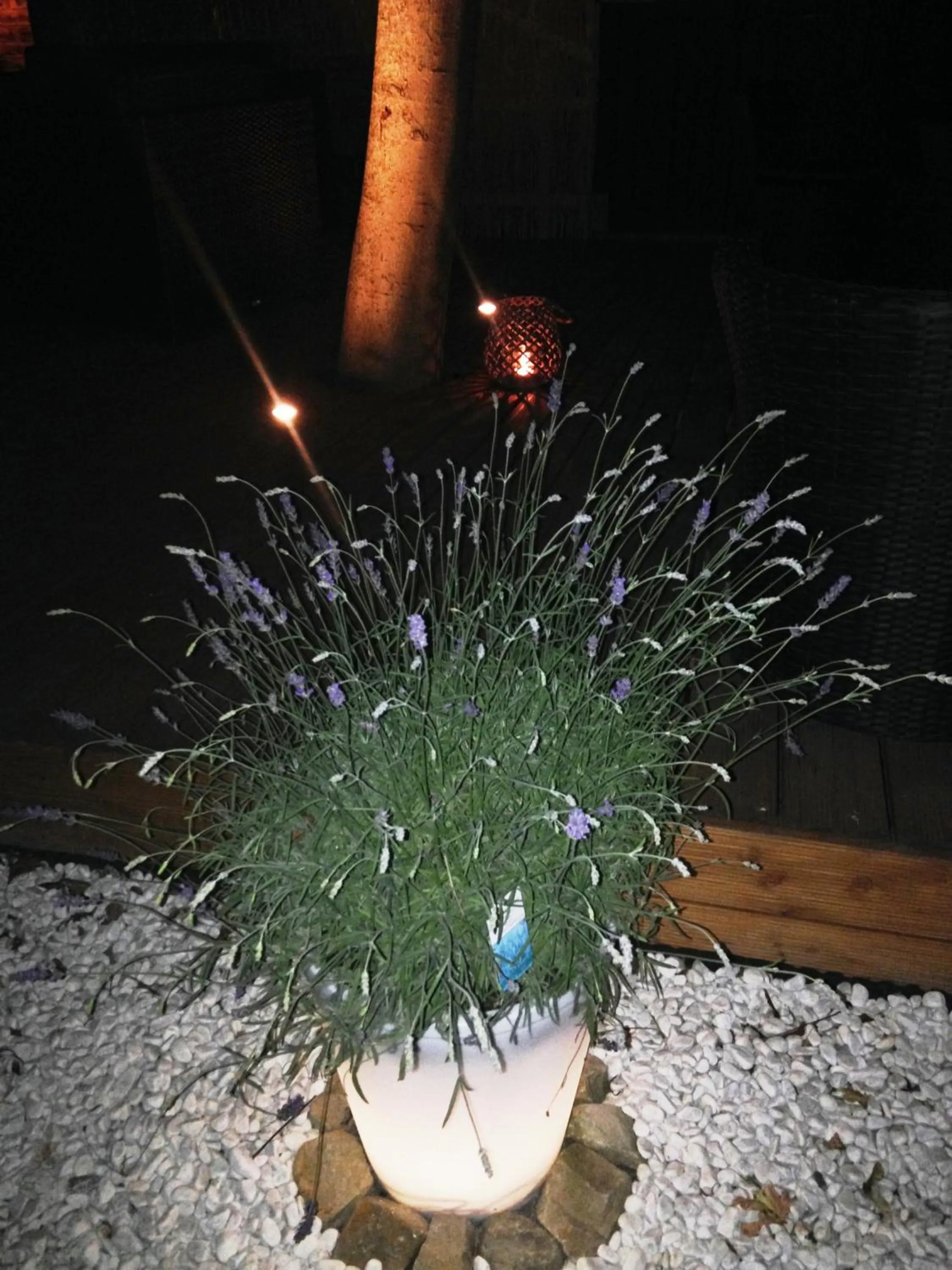 Decorative detail in Hotel zur Kanone