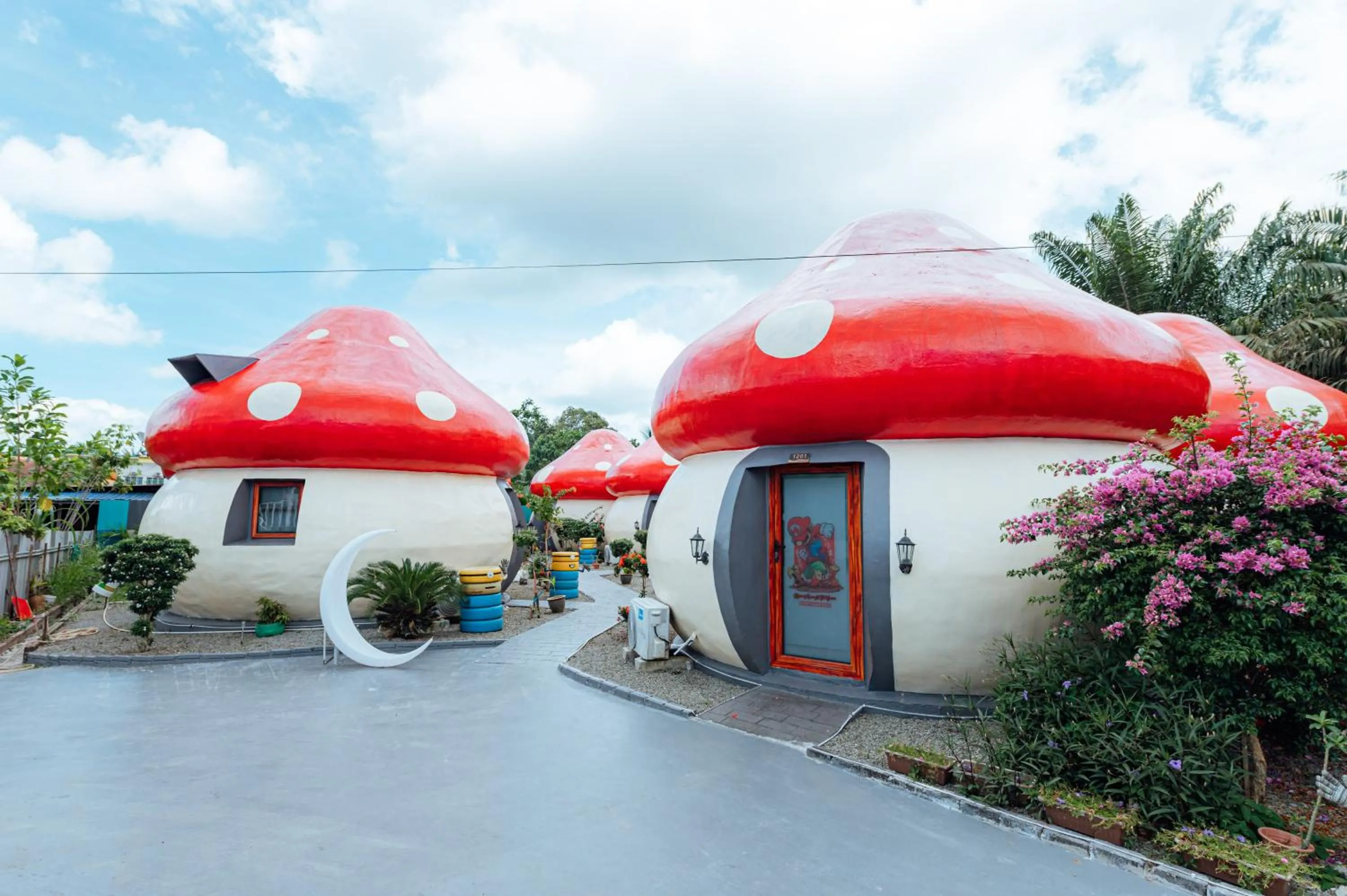 MUSHROOMS INN