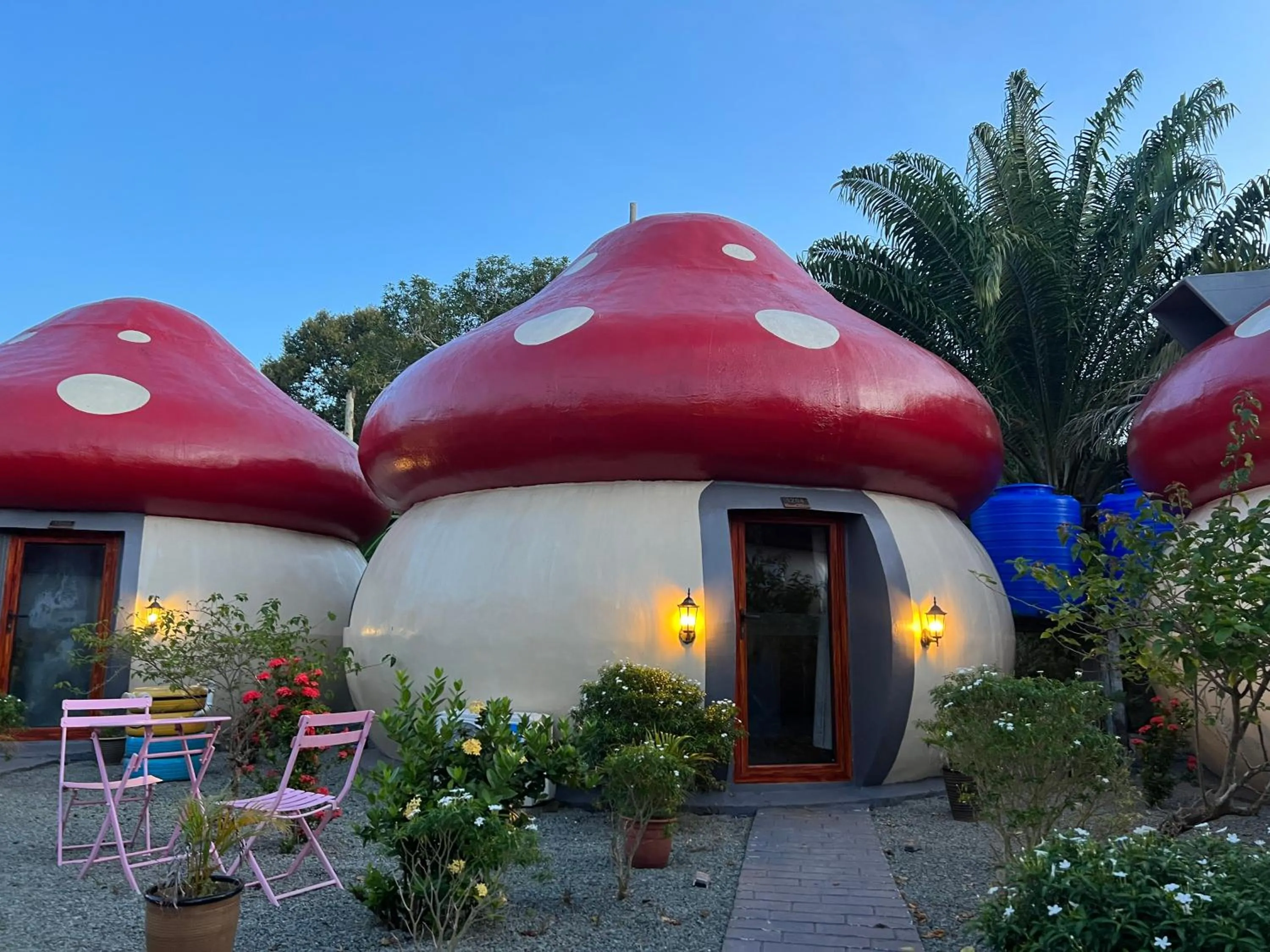 MUSHROOMS INN