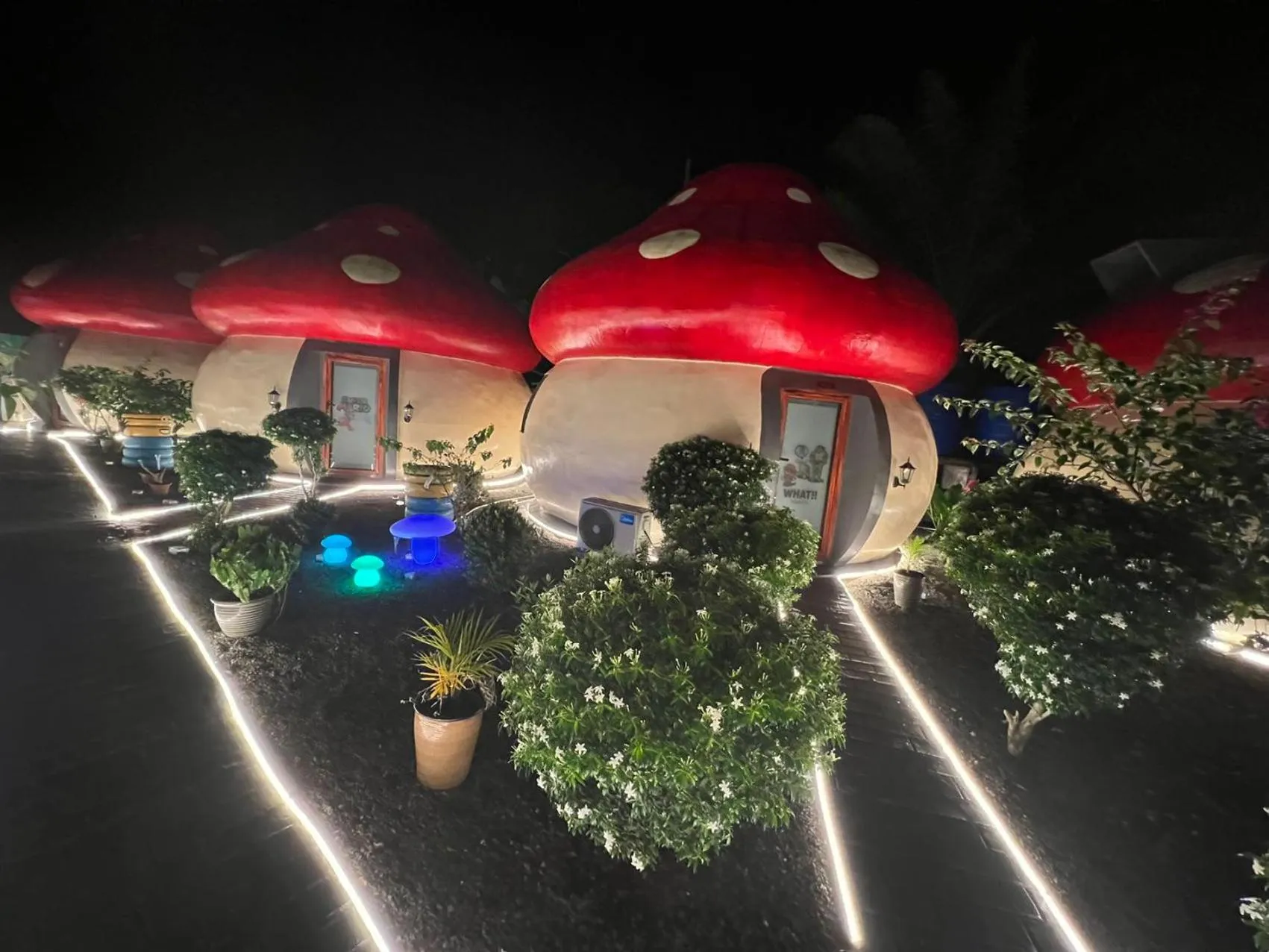MUSHROOMS INN