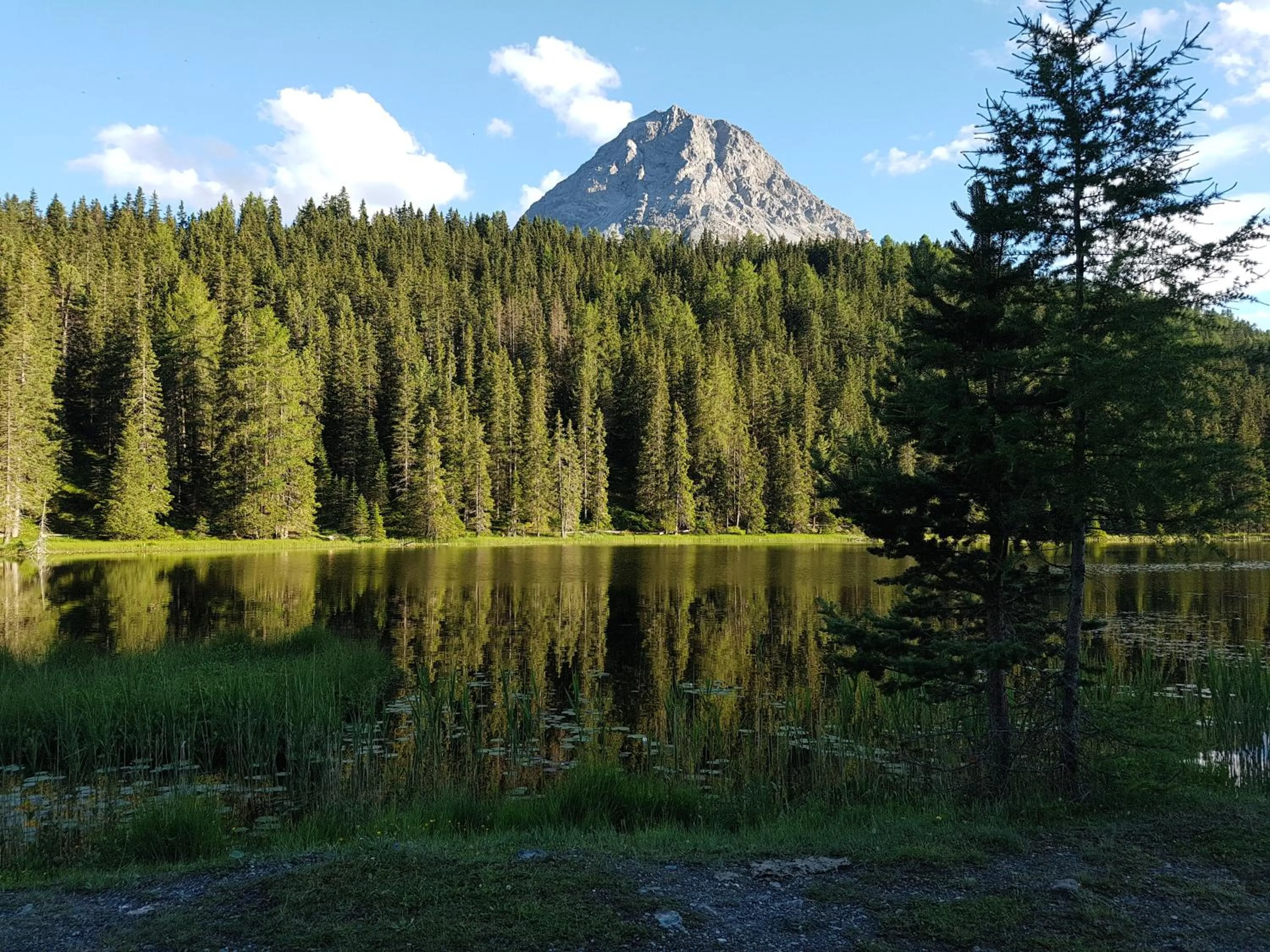 Natural landscape in Hotel Etschquelle