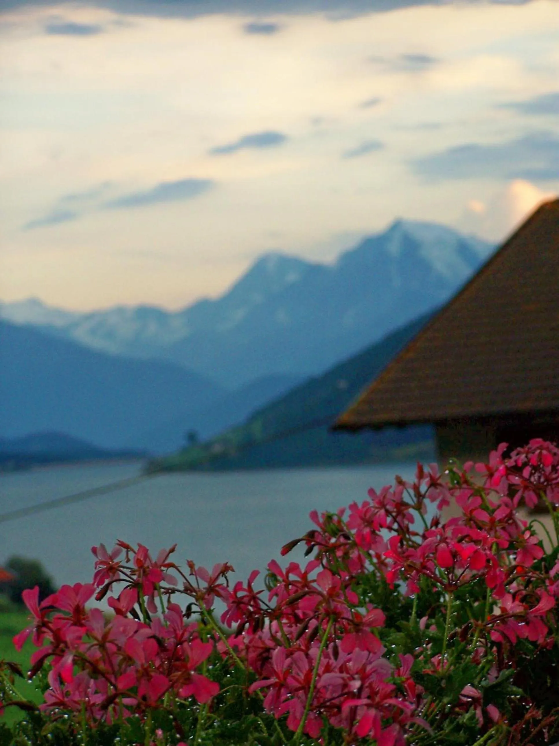 Natural landscape in Hotel Etschquelle