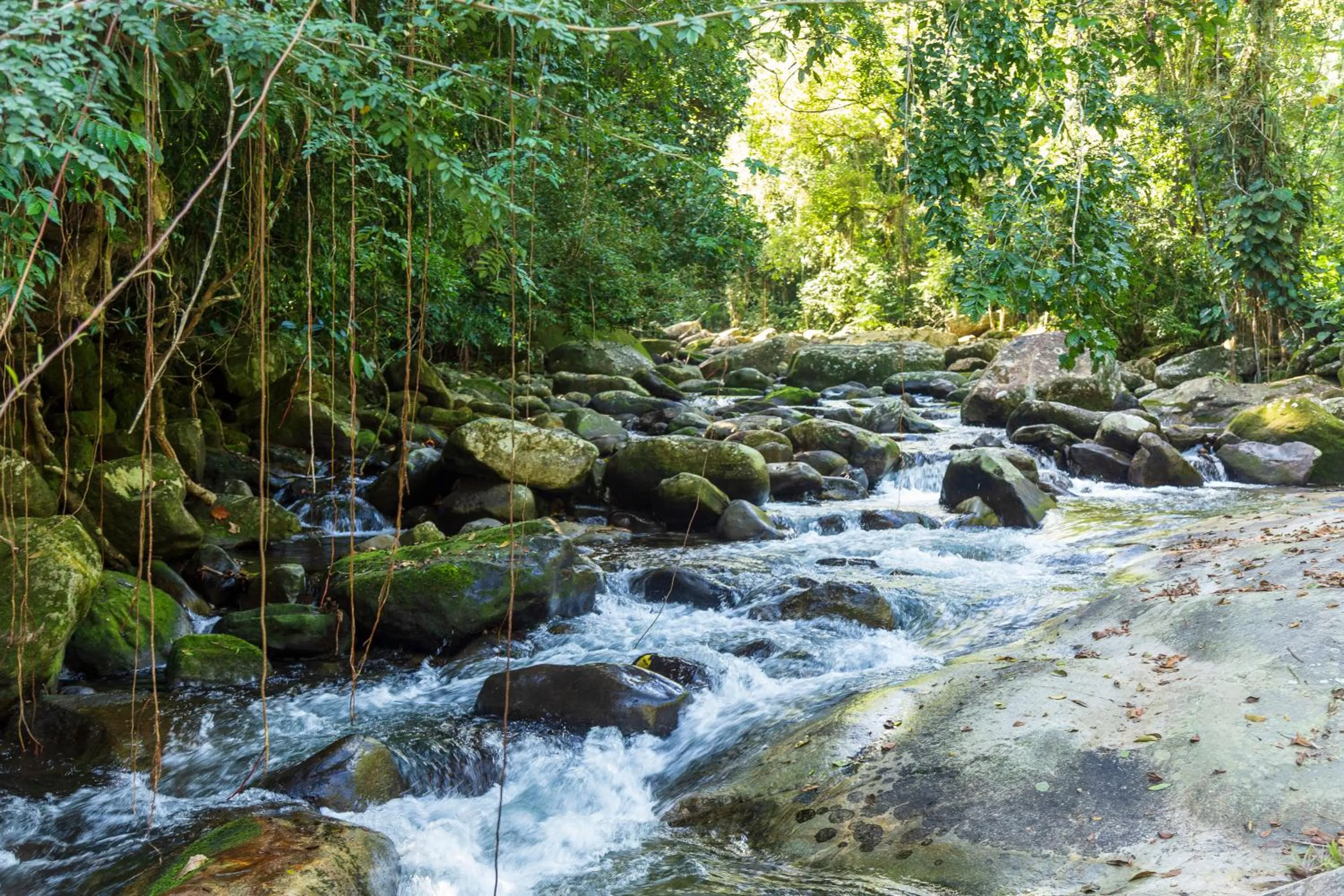 Nearby landmark in Pousada Quatro Estações Paraty