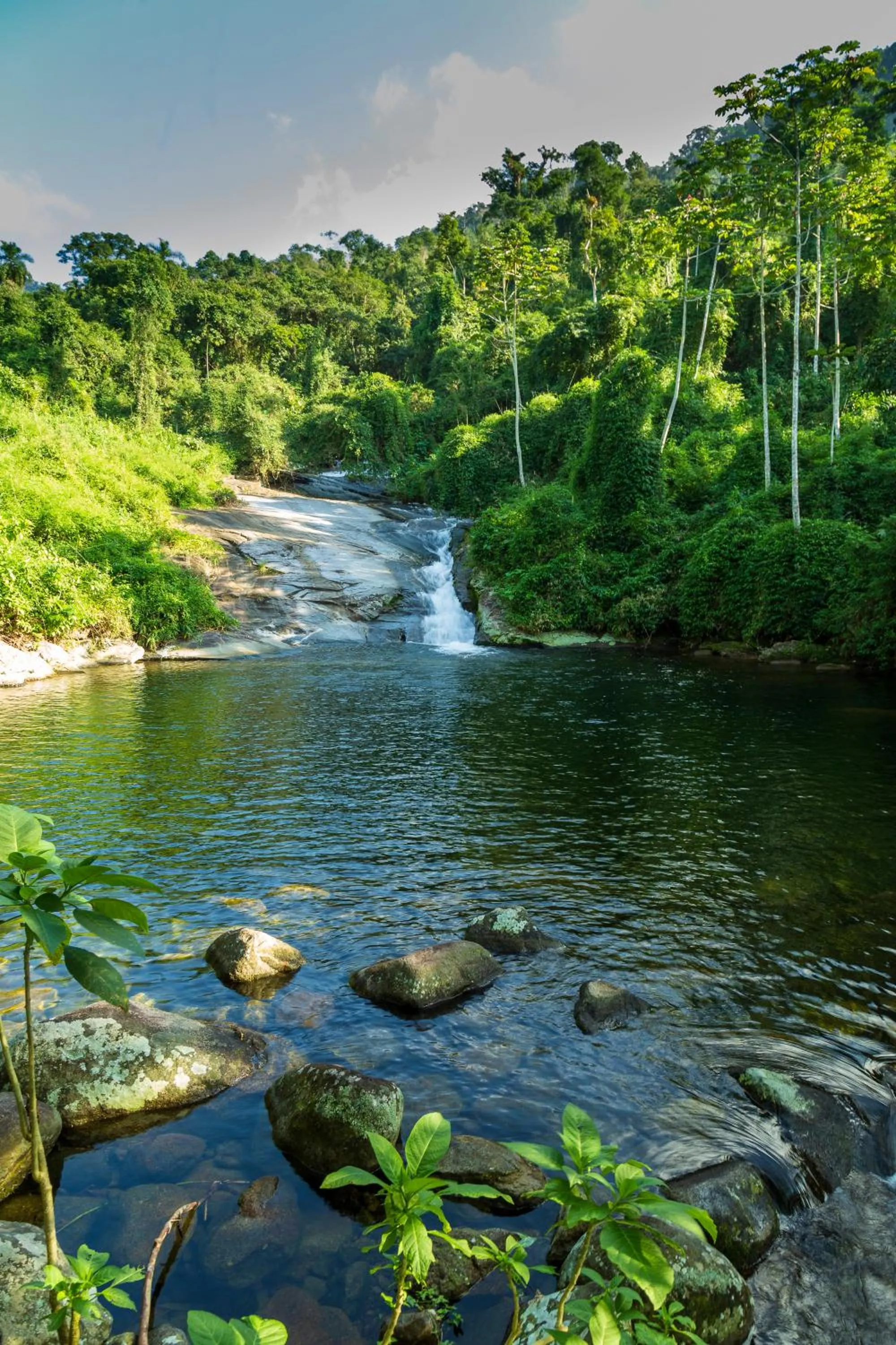 Natural landscape in Pousada Quatro Estações Paraty