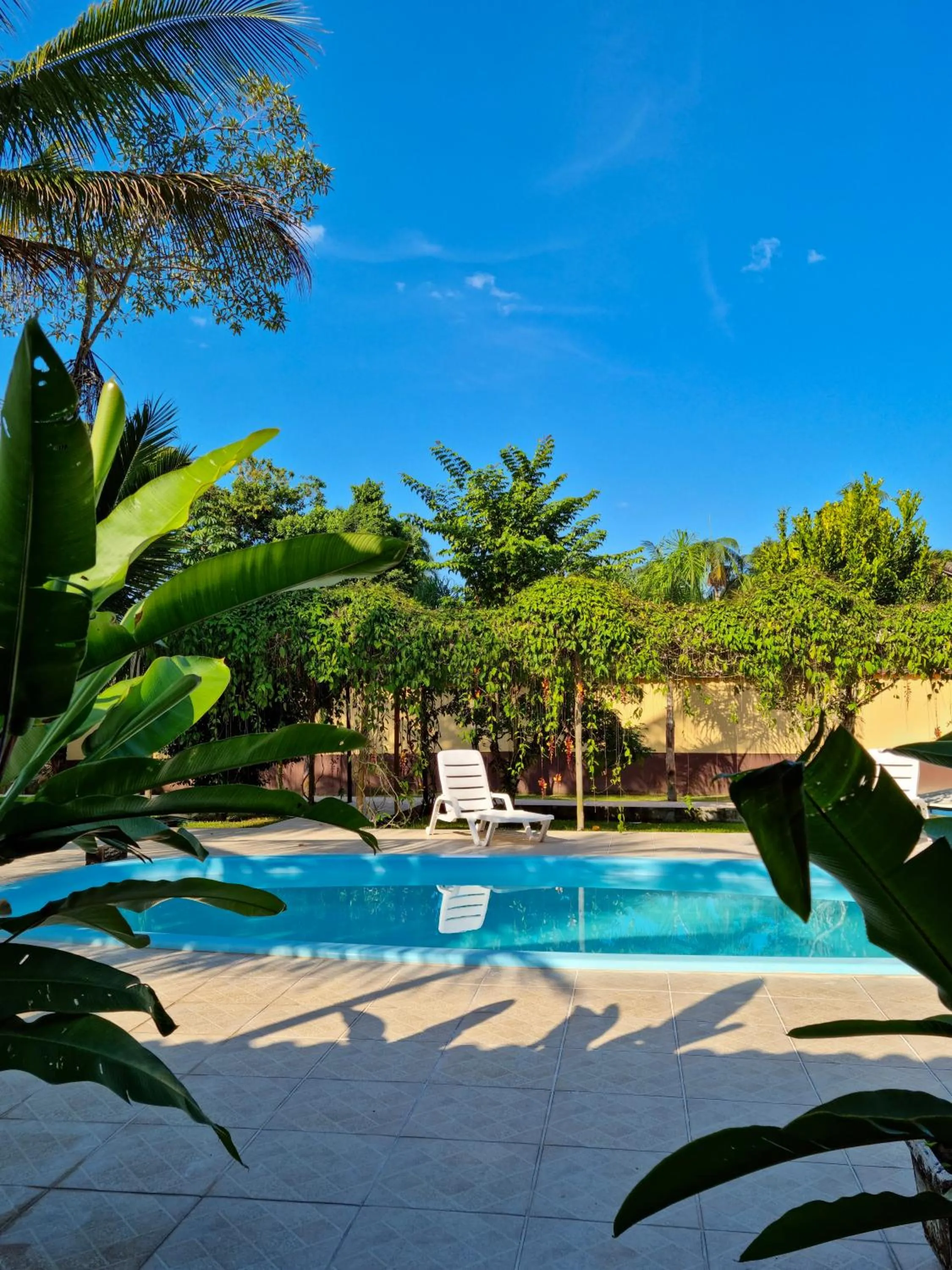 Garden in Pousada Quatro Estações Paraty