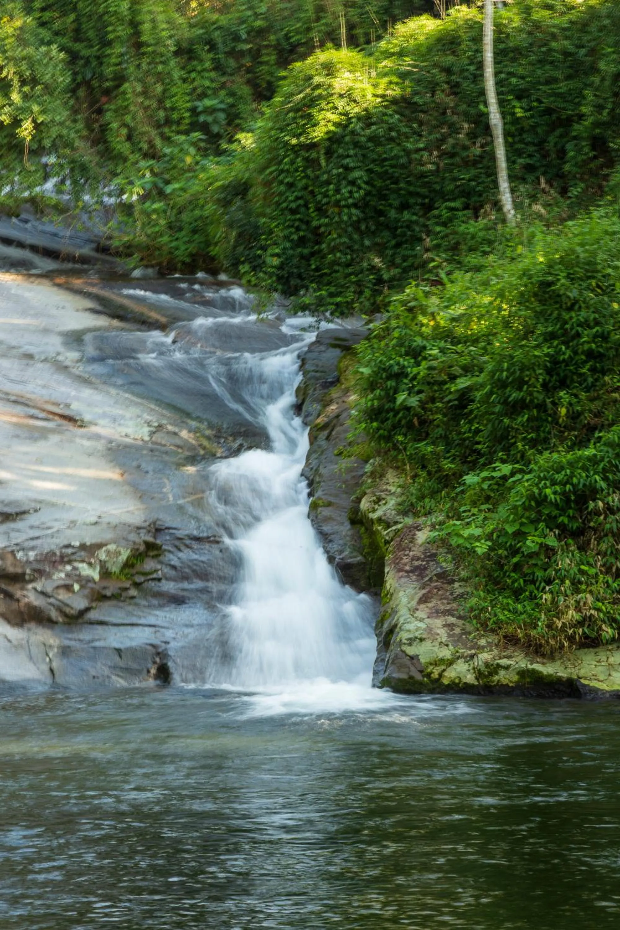 Natural landscape in Pousada Quatro Estações Paraty