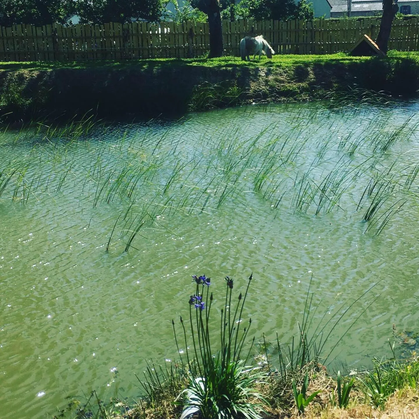 Garden in L'échappée Saline