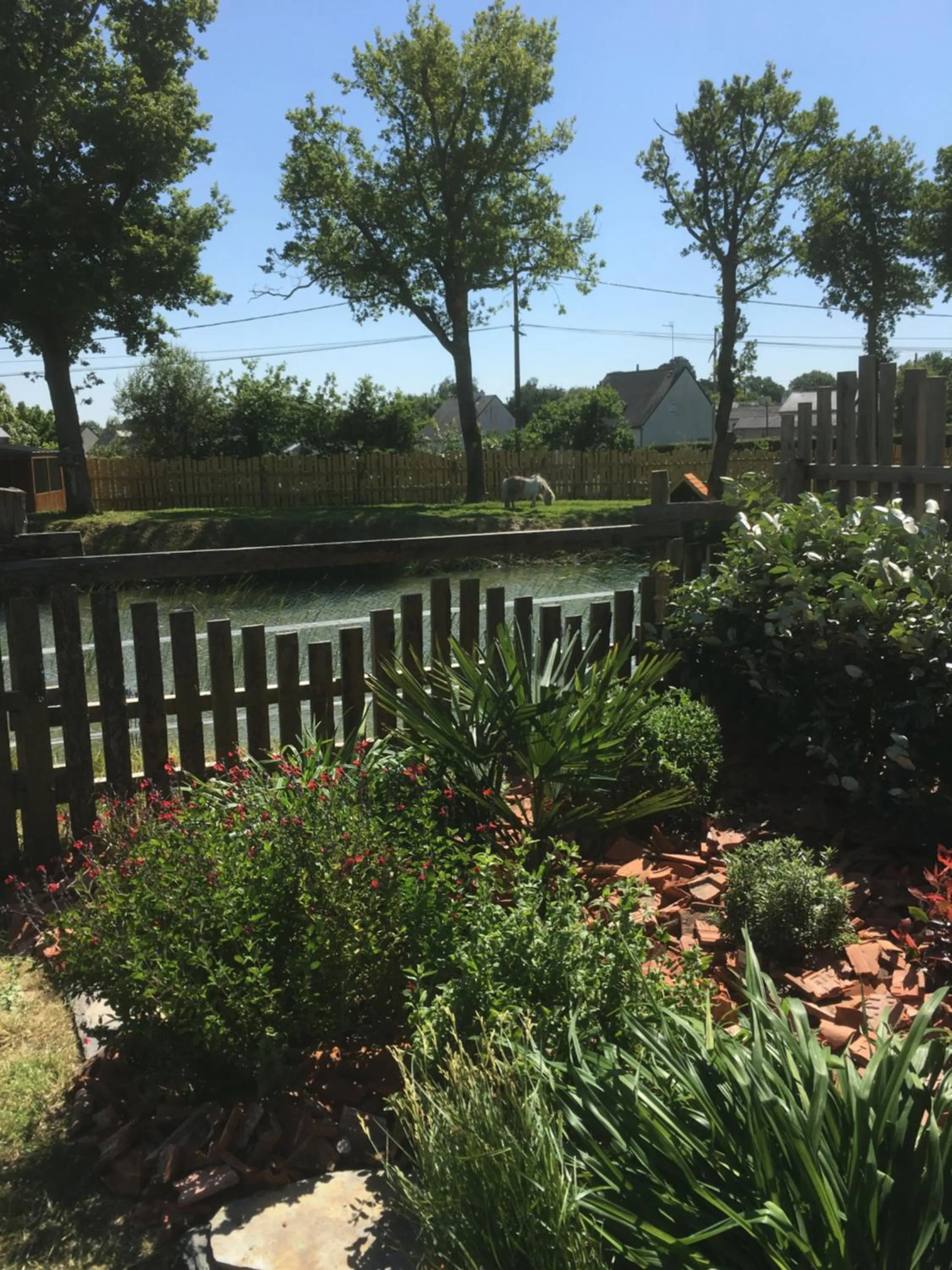 Garden in L'échappée Saline