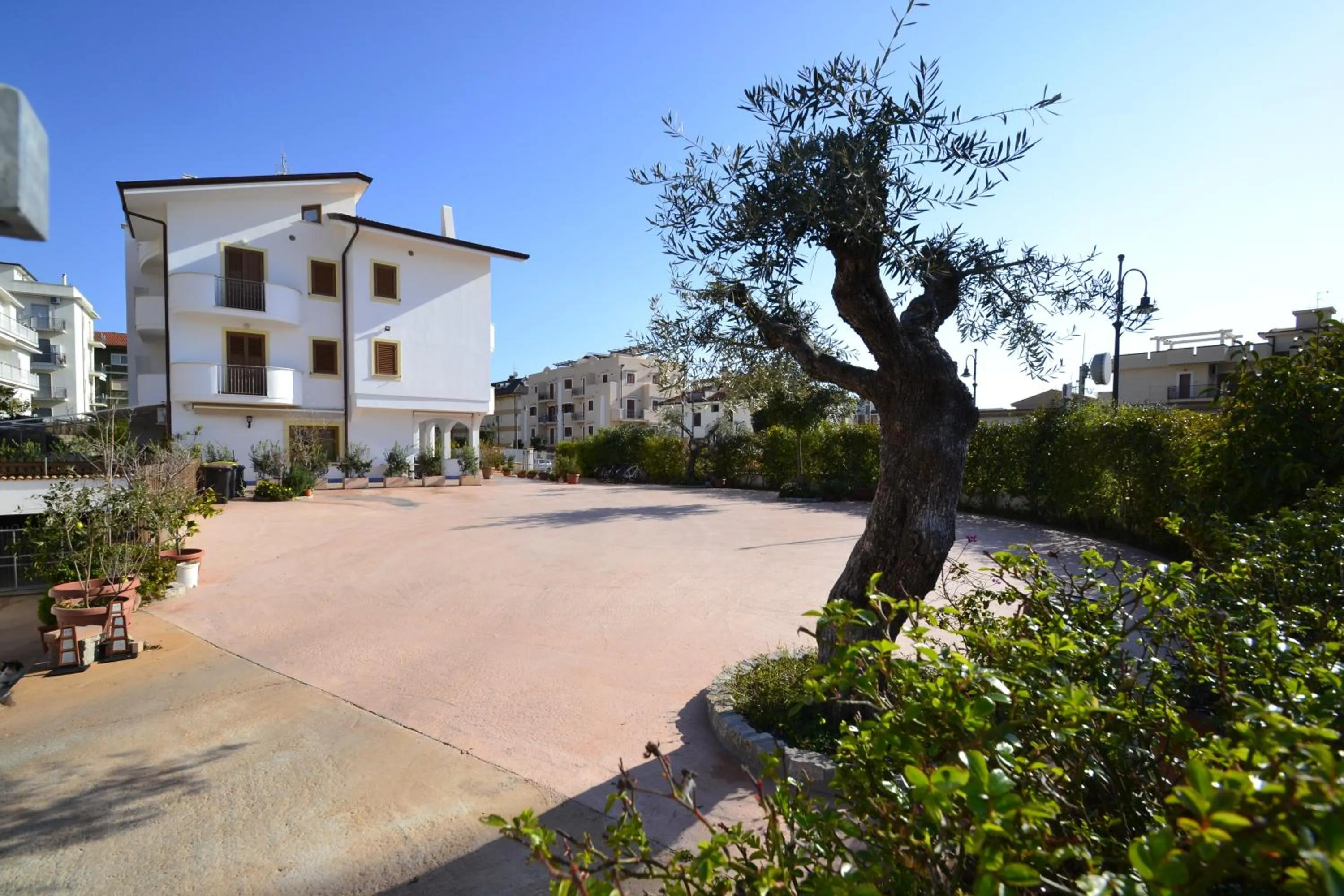 Garden in B&B Sperlonga