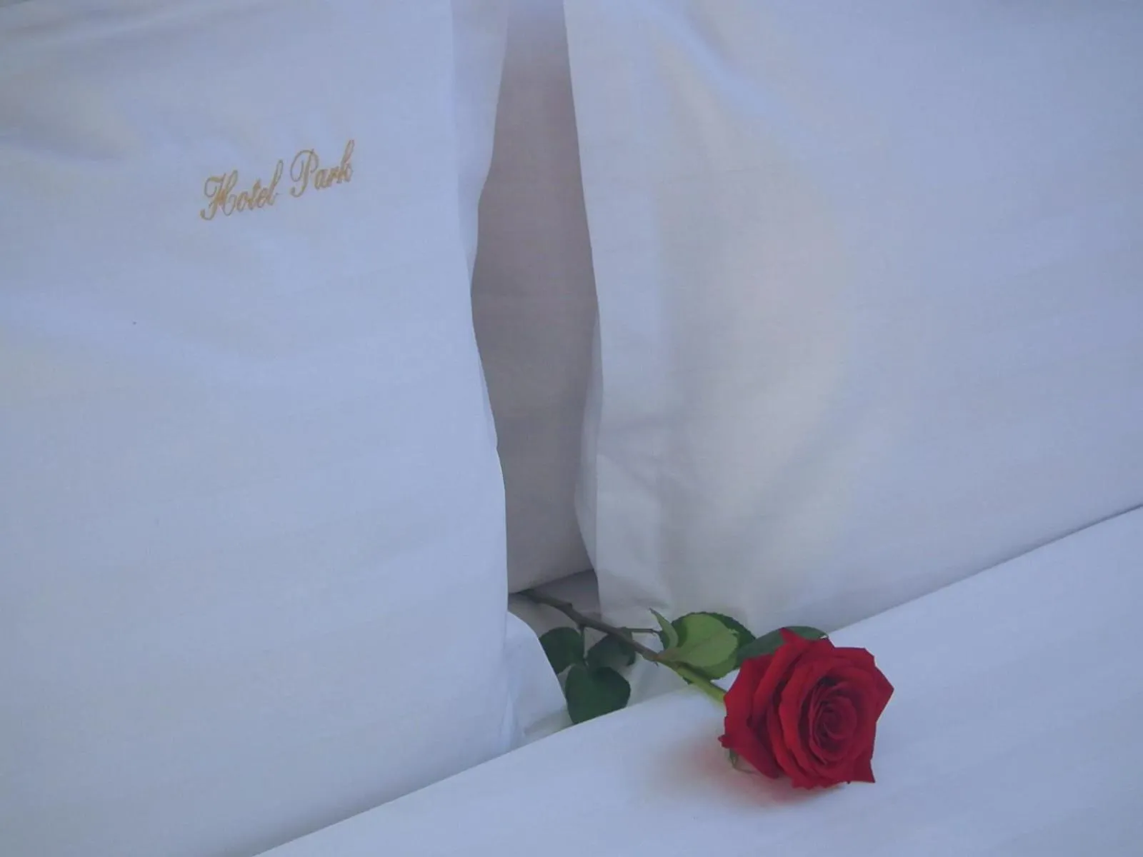 Bedroom, Bed in Park Luxury Rooms