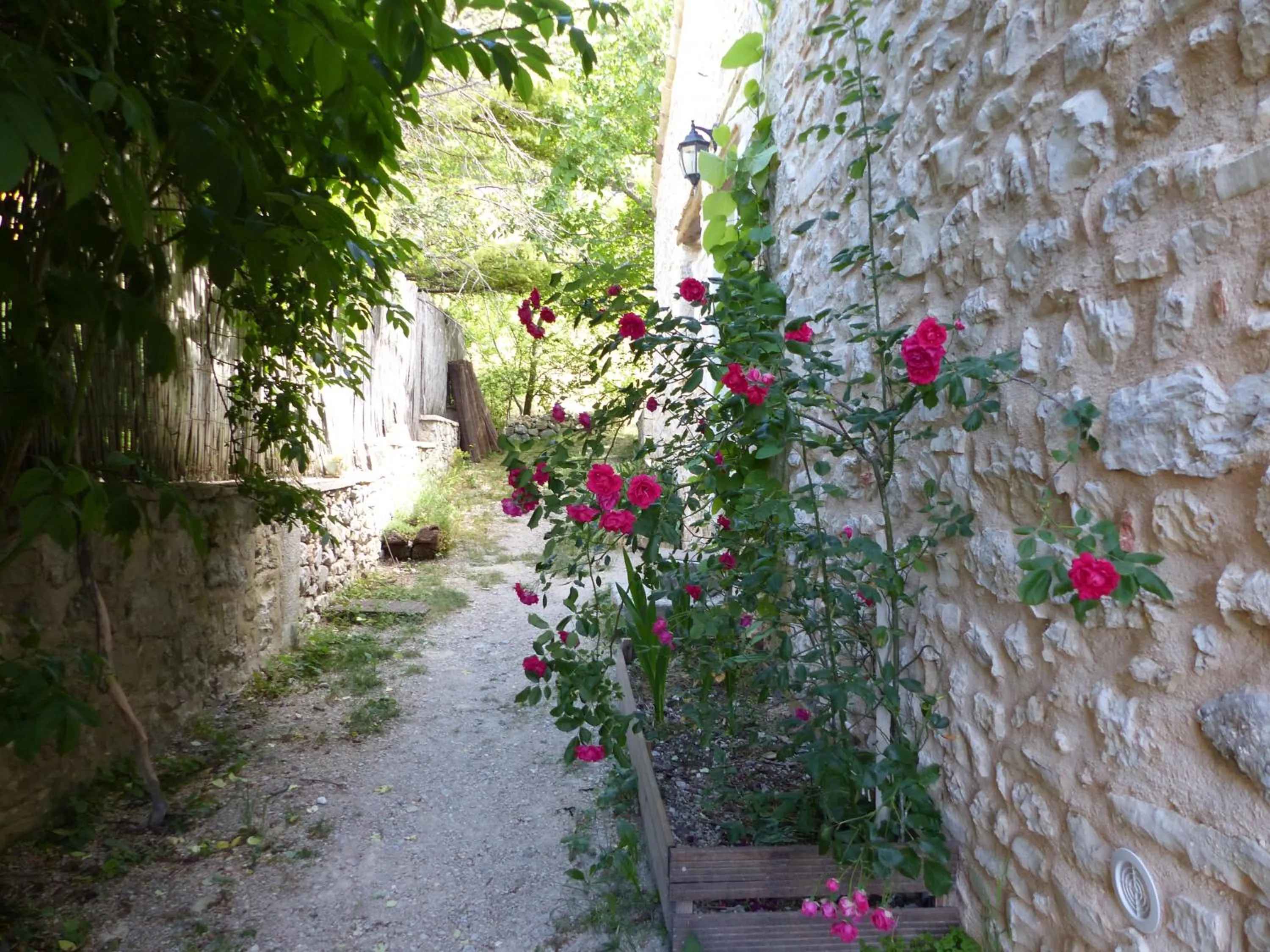 Malia - Chambres d'hôtes & Gîte