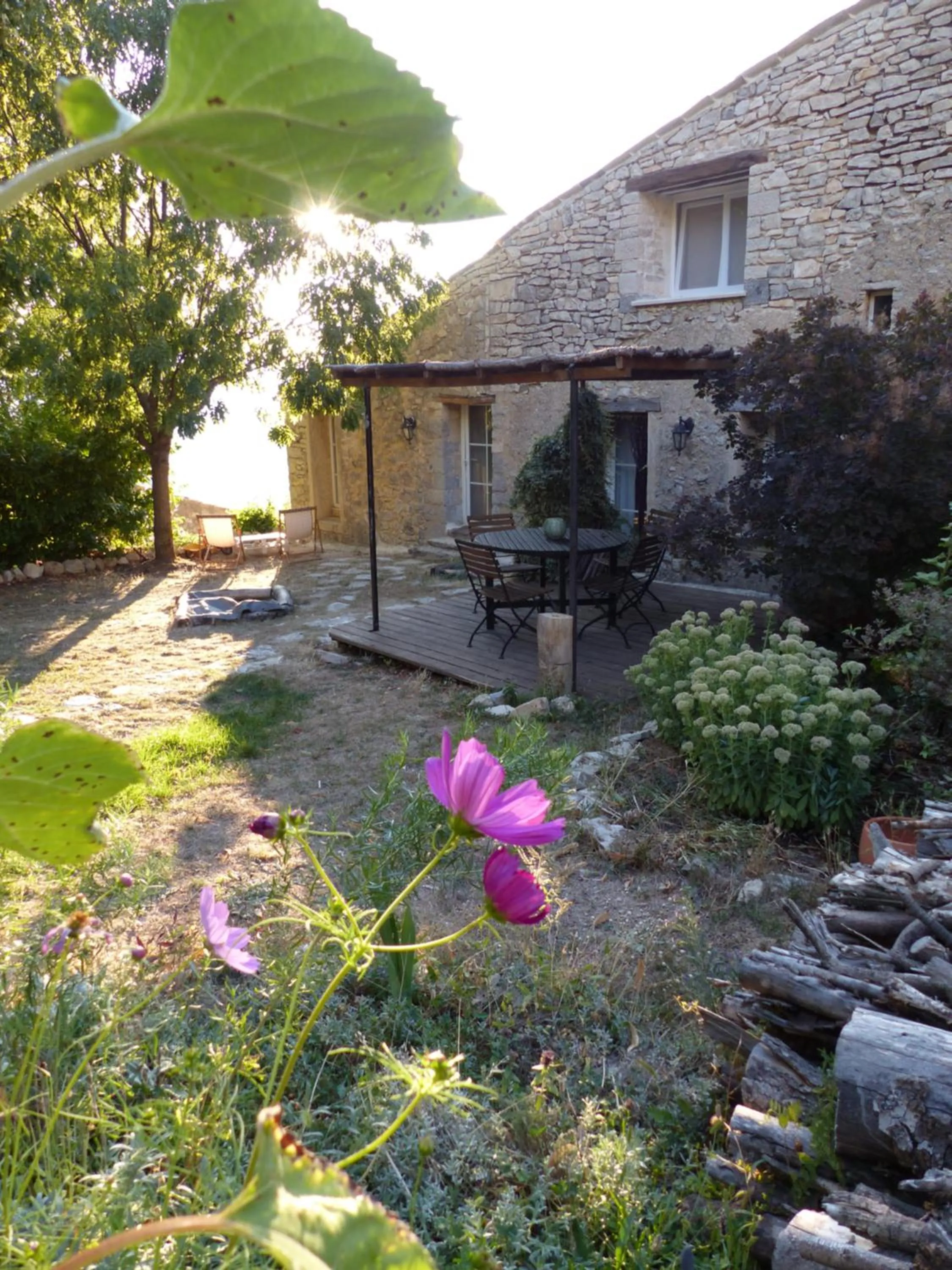 Patio in Malia - Chambres d'hôtes & Gîte