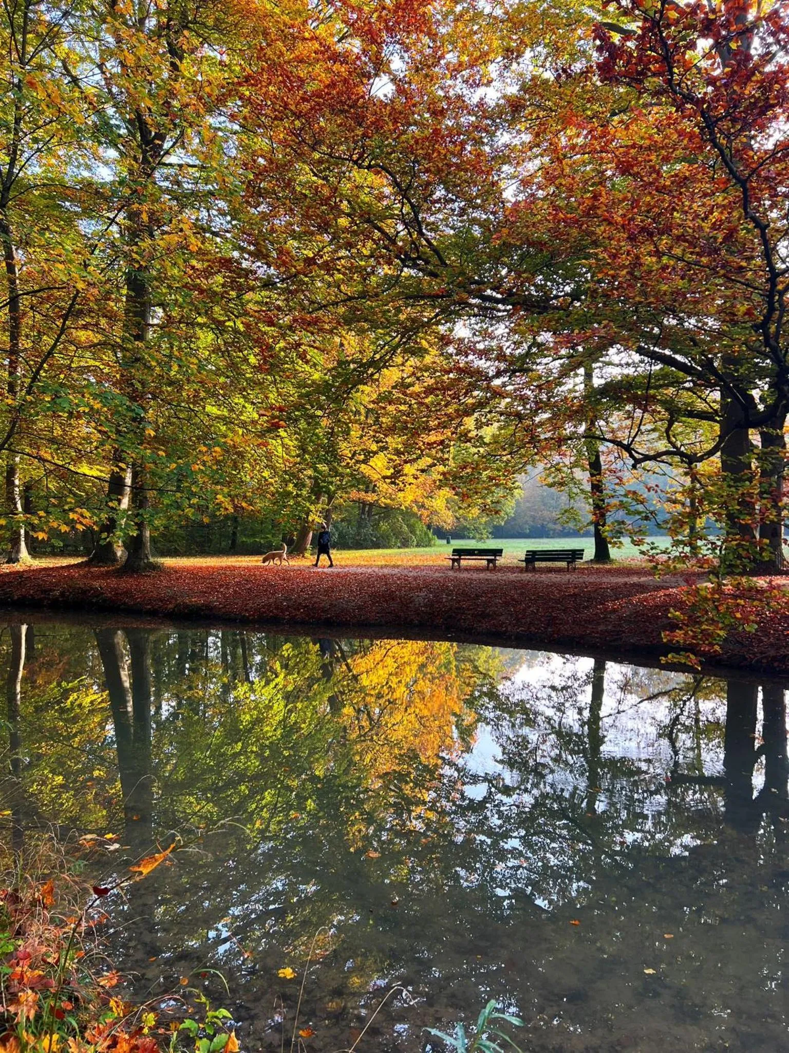 Other in Hotel Occam