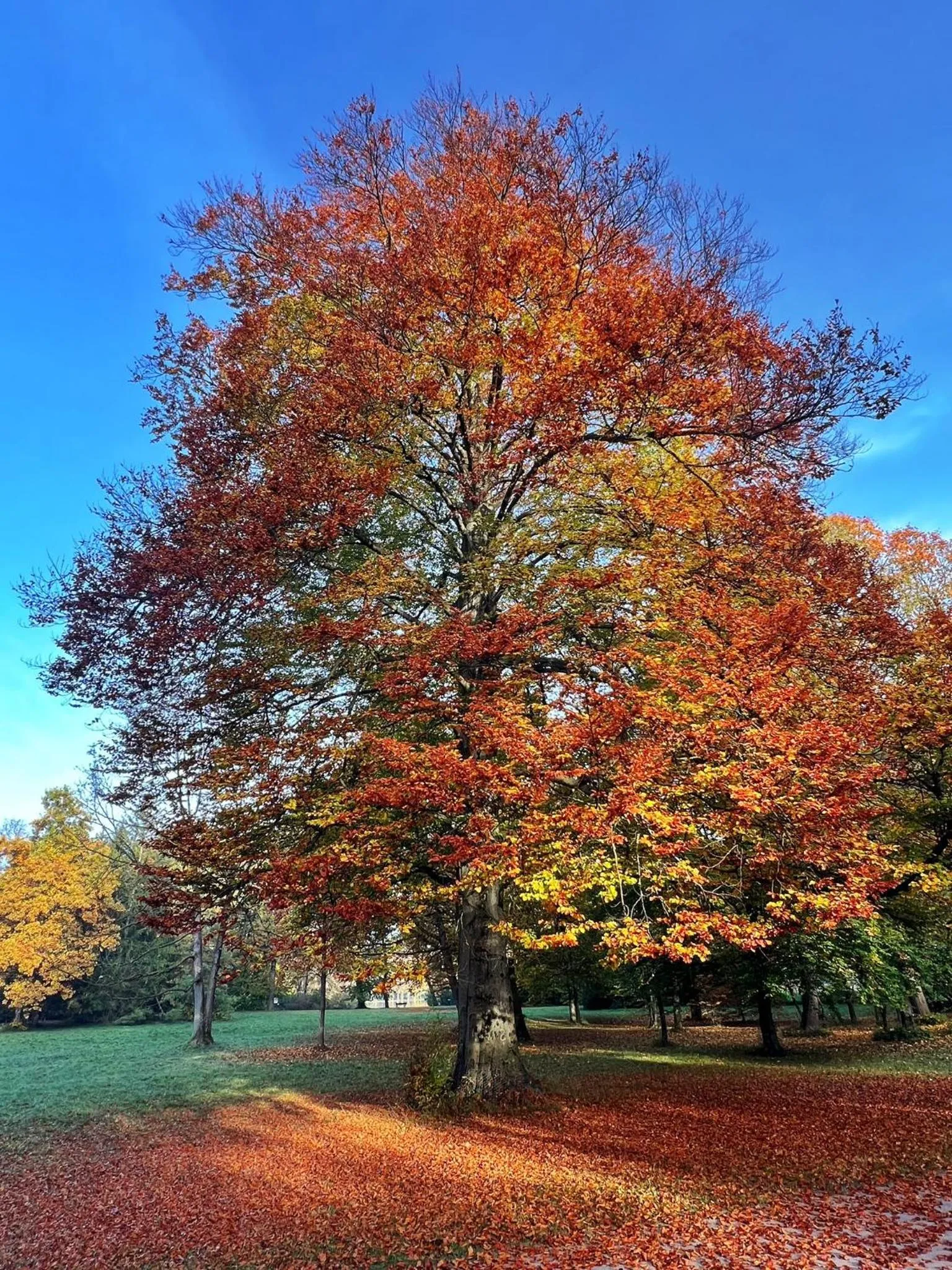 Other in Hotel Occam