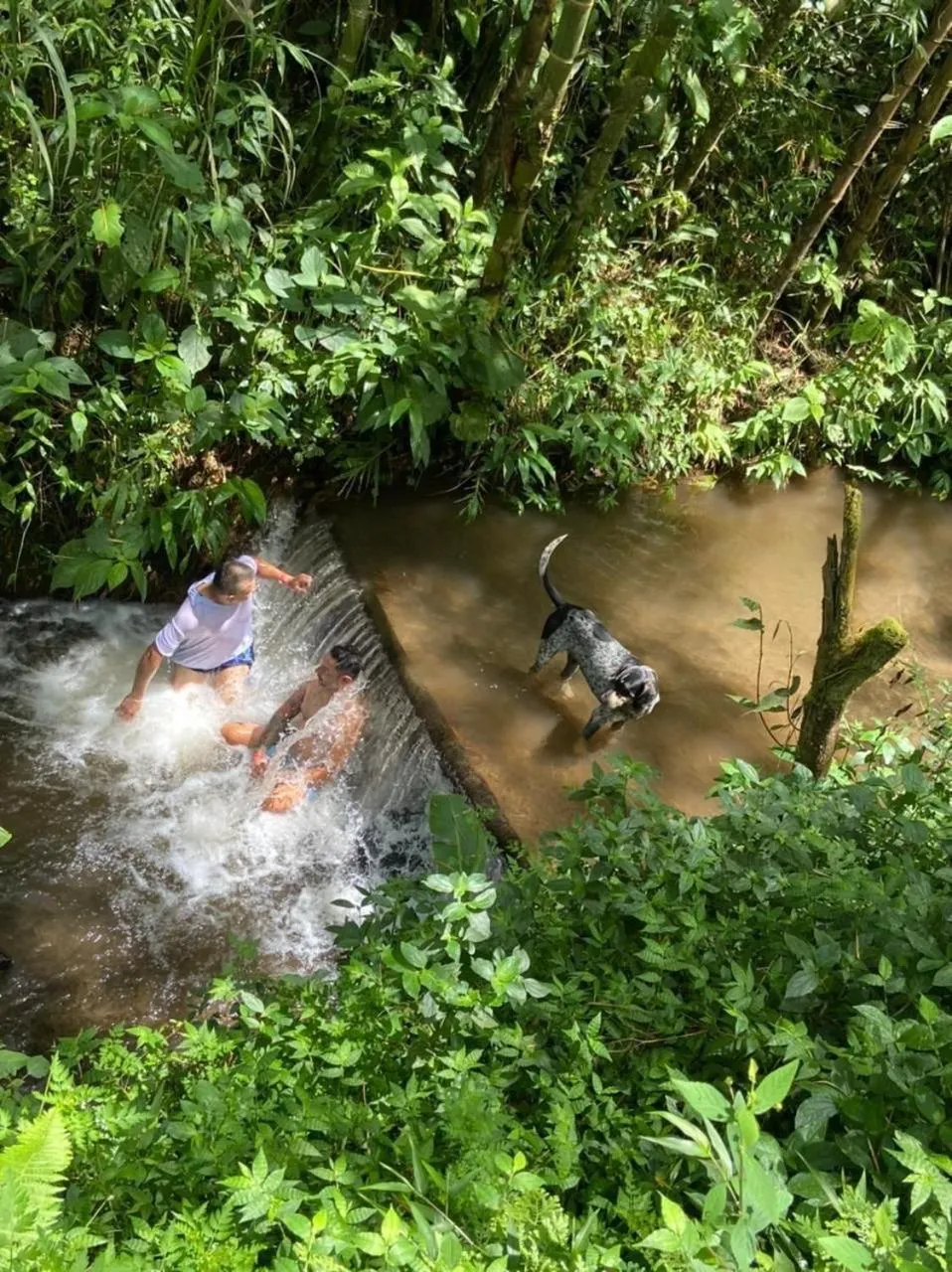 Hotel Campestre La Cecilia