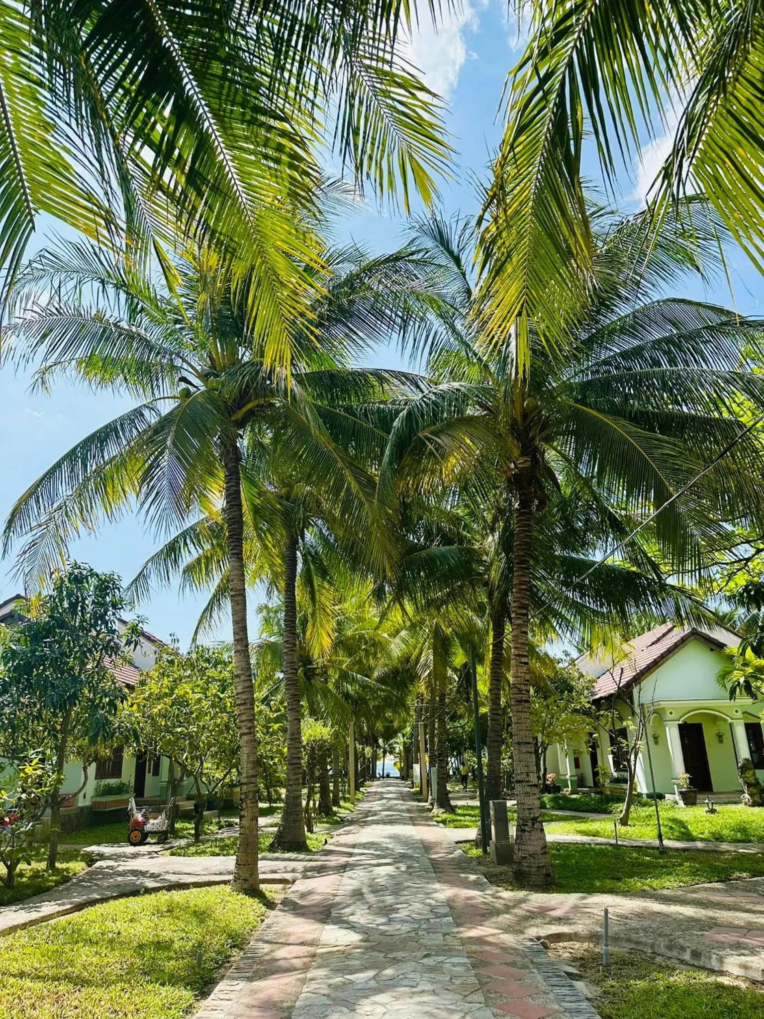 Garden in Gold Rooster Resort