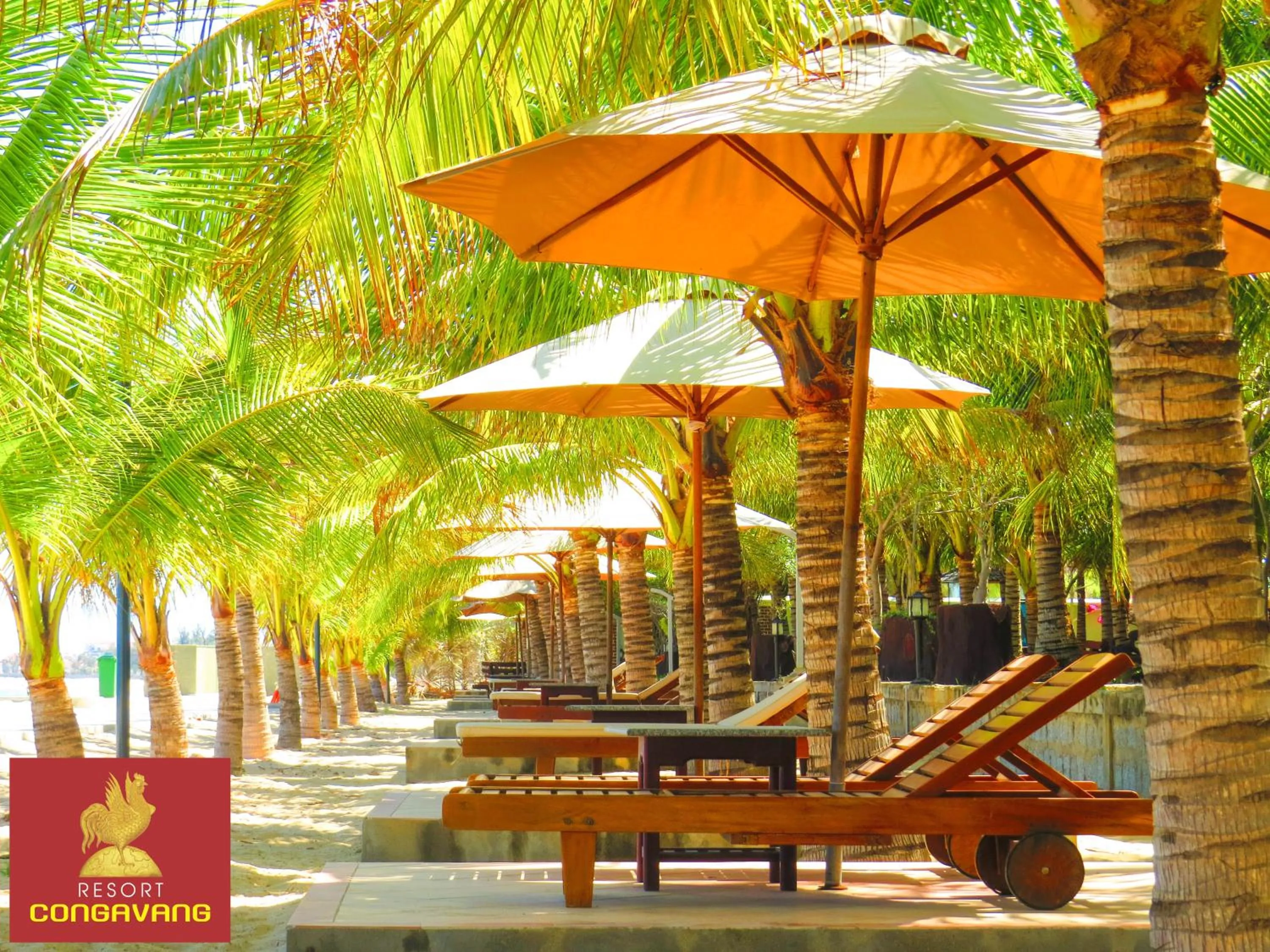 Beach in Gold Rooster Resort