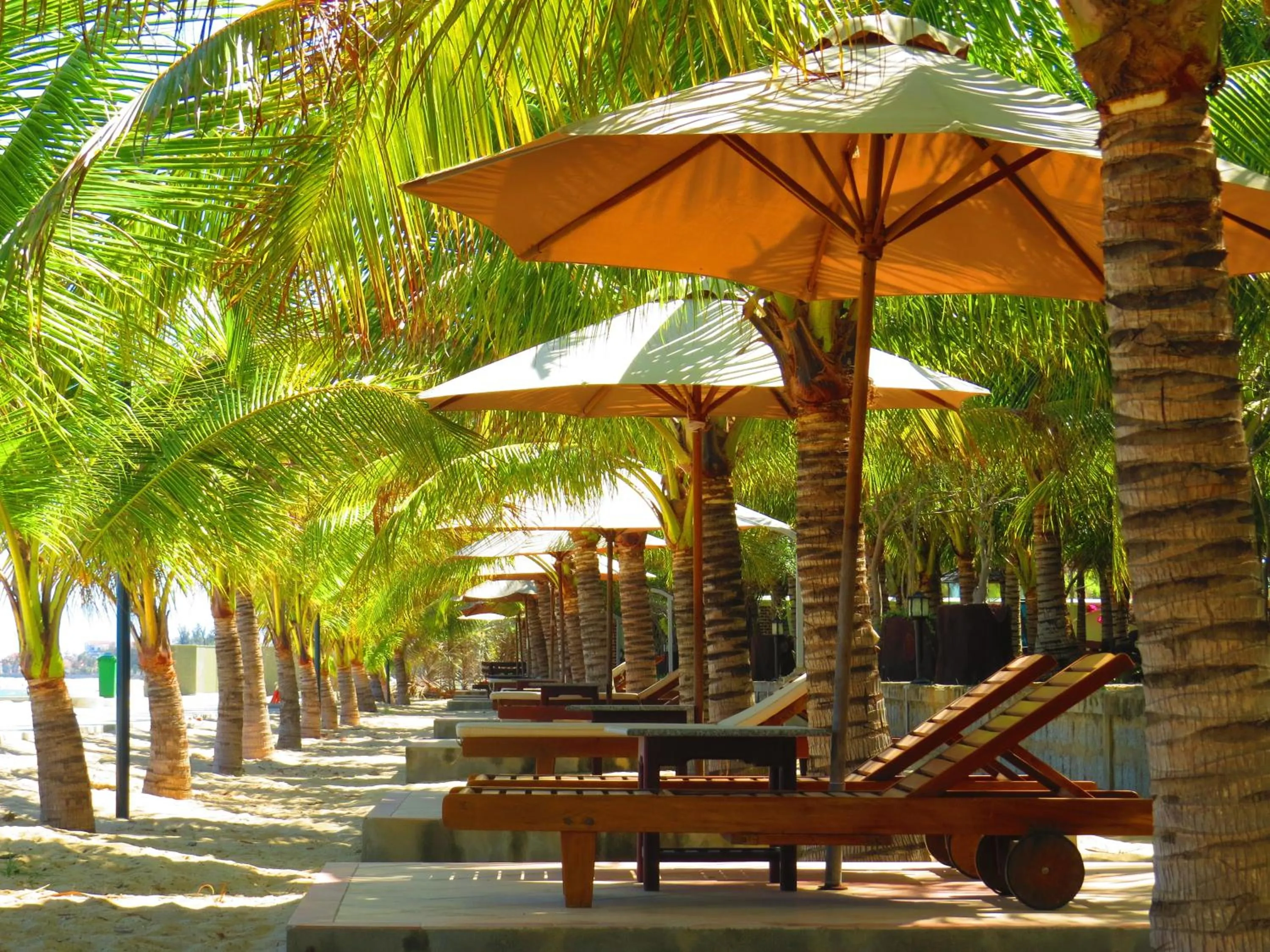 Garden in Gold Rooster Resort