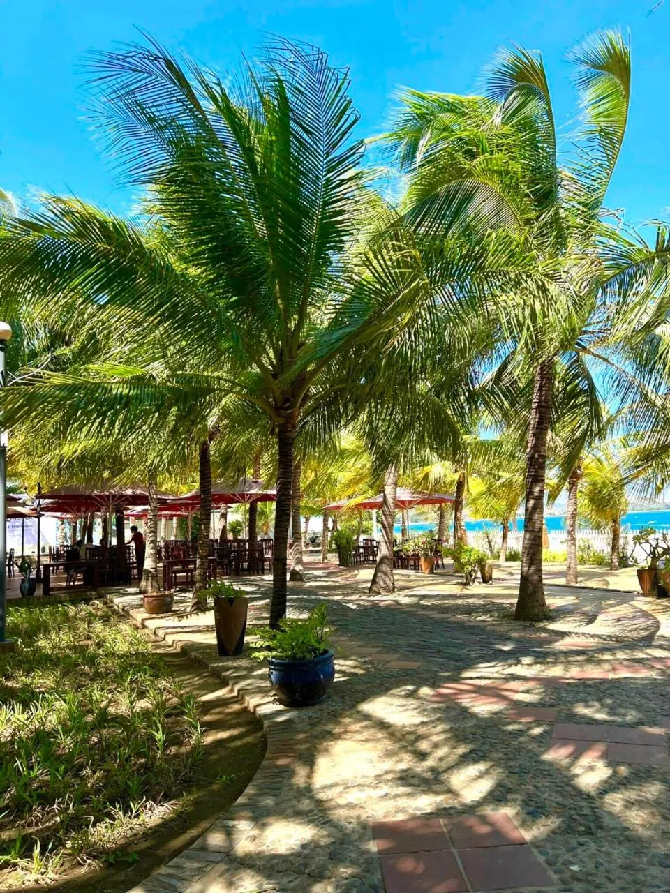 Restaurant/places to eat in Gold Rooster Resort