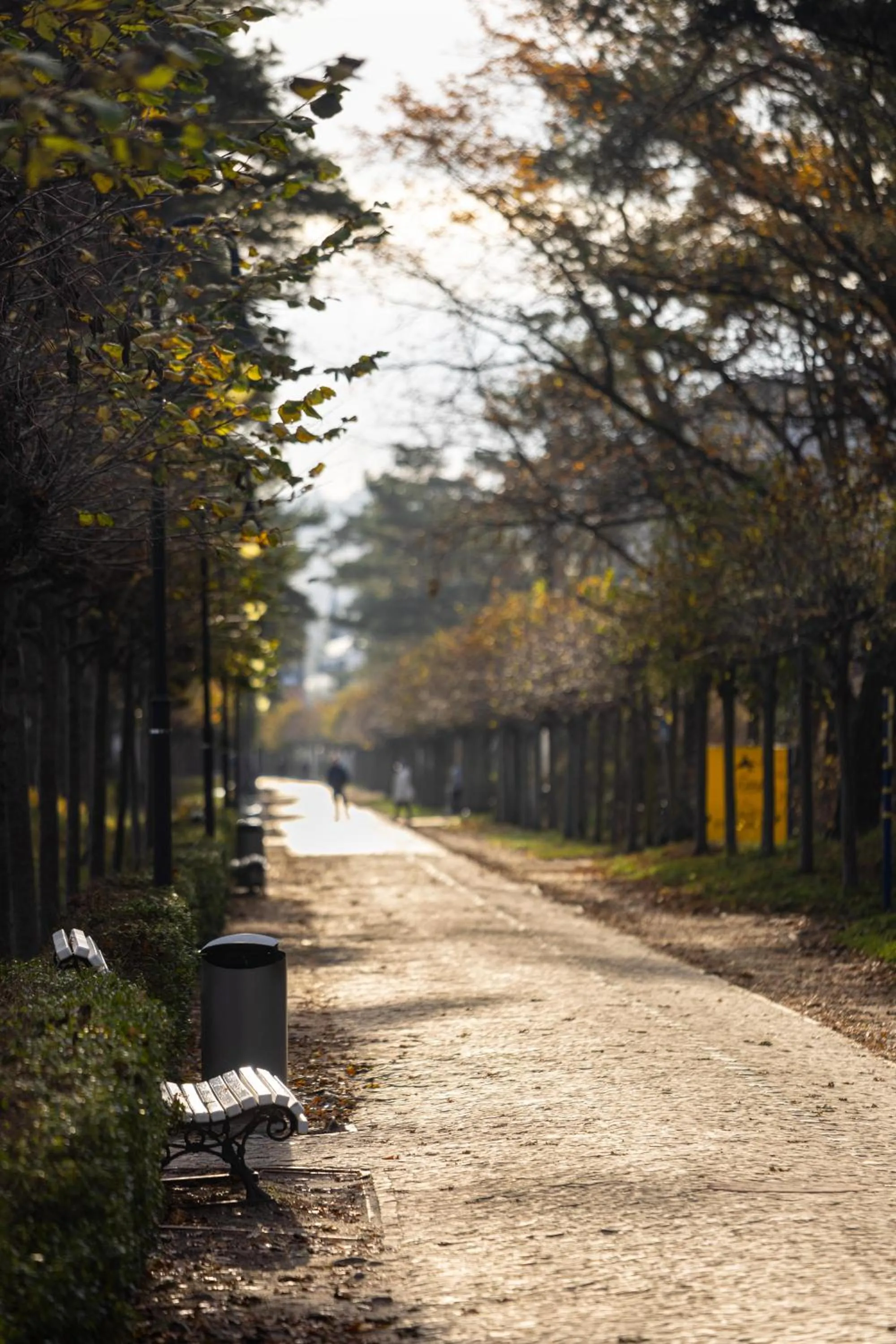 Natural landscape in IFA Rügen Hotel & Ferienpark