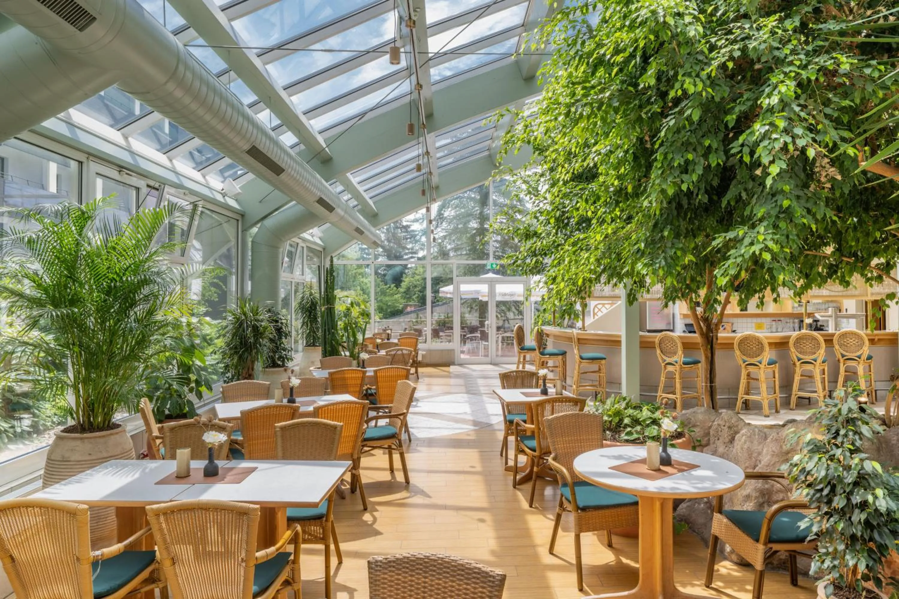 Lounge or bar in IFA Schöneck Hotel & Ferienpark