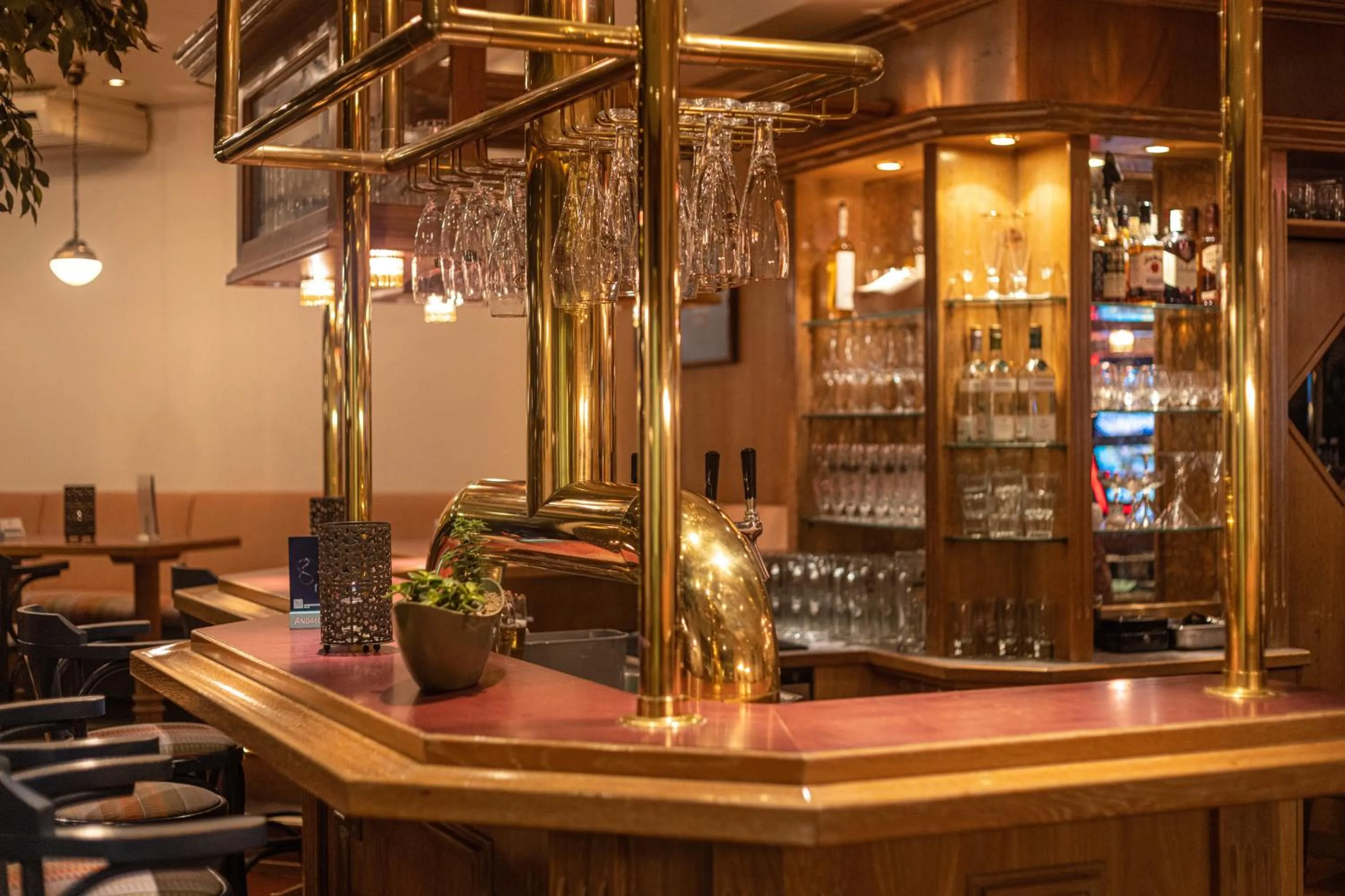 Lounge or bar in IFA Fehmarn Hotel & Ferien-Centrum