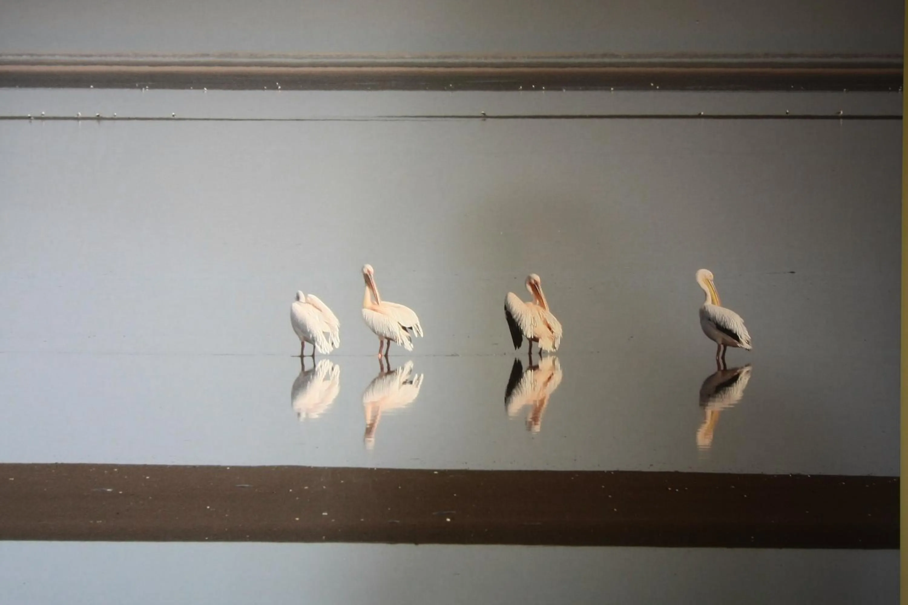 Decorative detail in Lagoon Lodge
