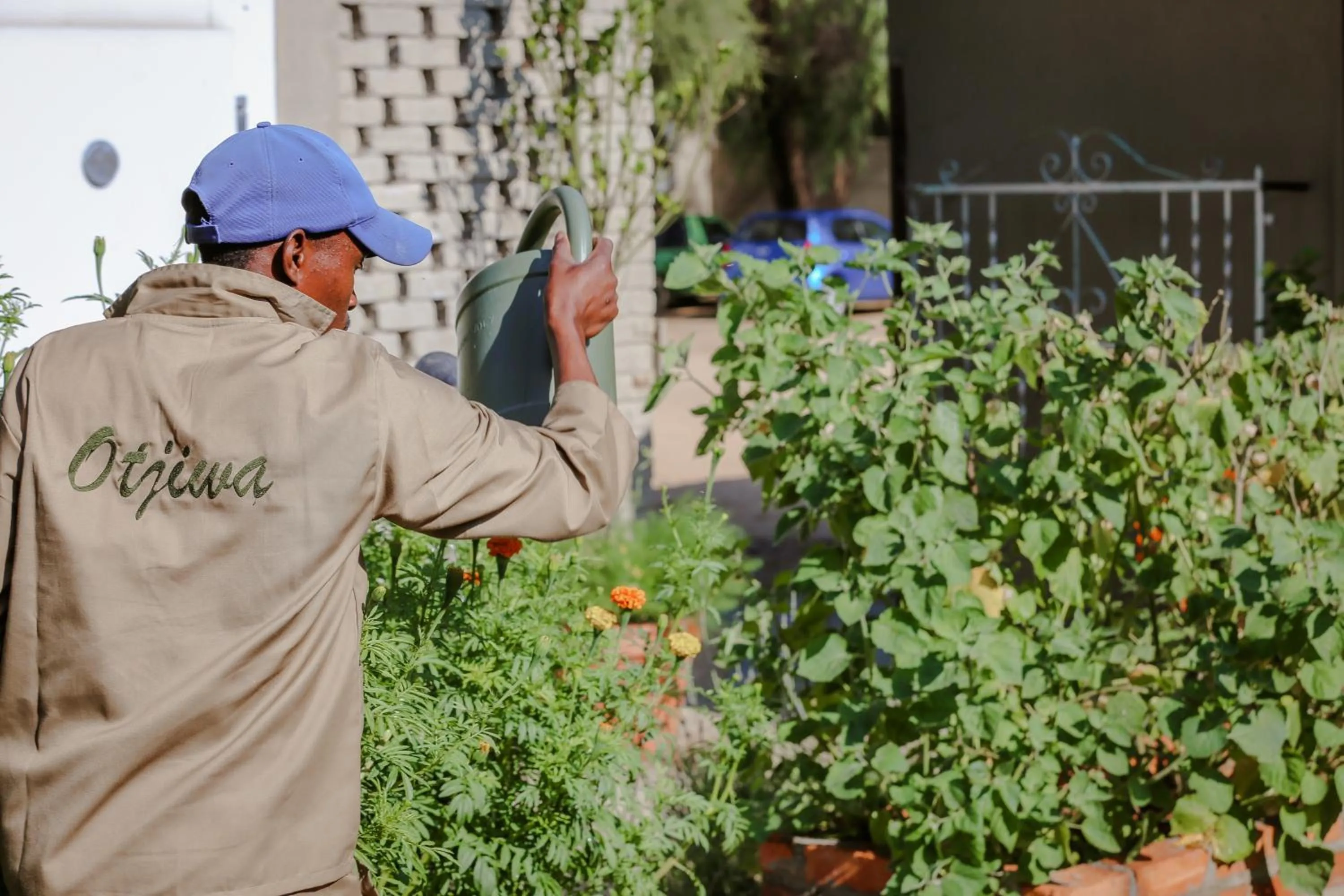Garden in Otjiwa Safari Lodge