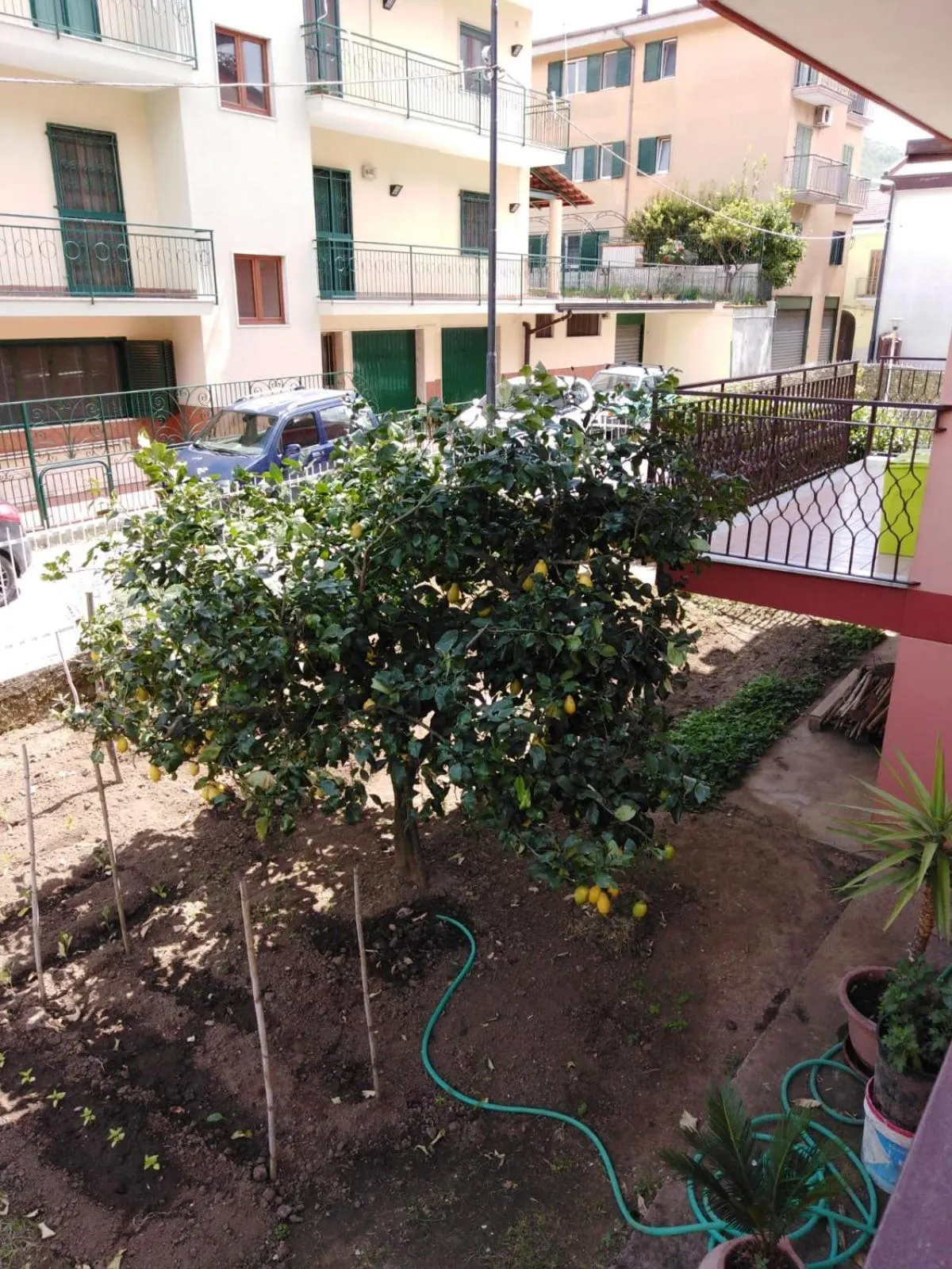 Garden in Nilu' e Sagio'