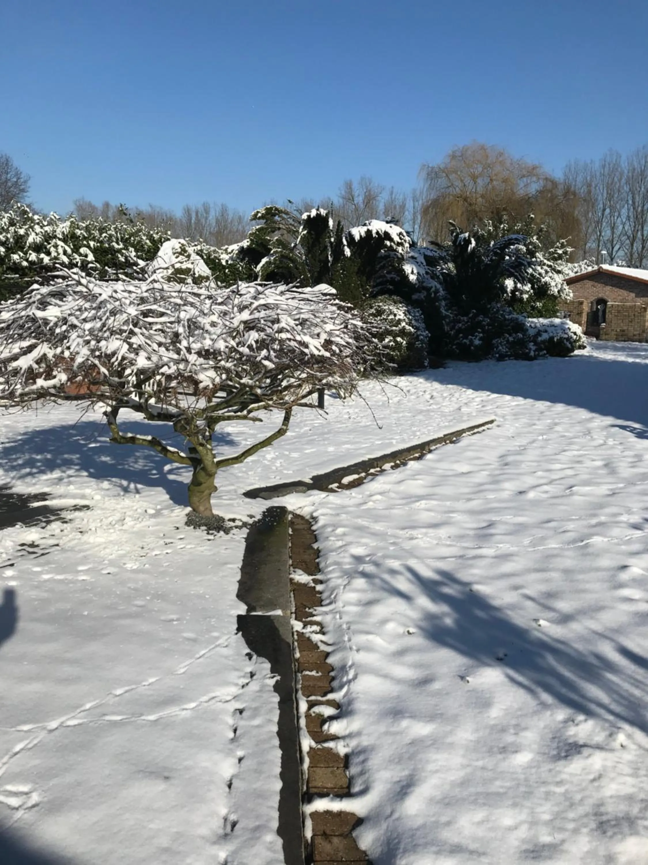 Aquavilla Bed & Breakfast