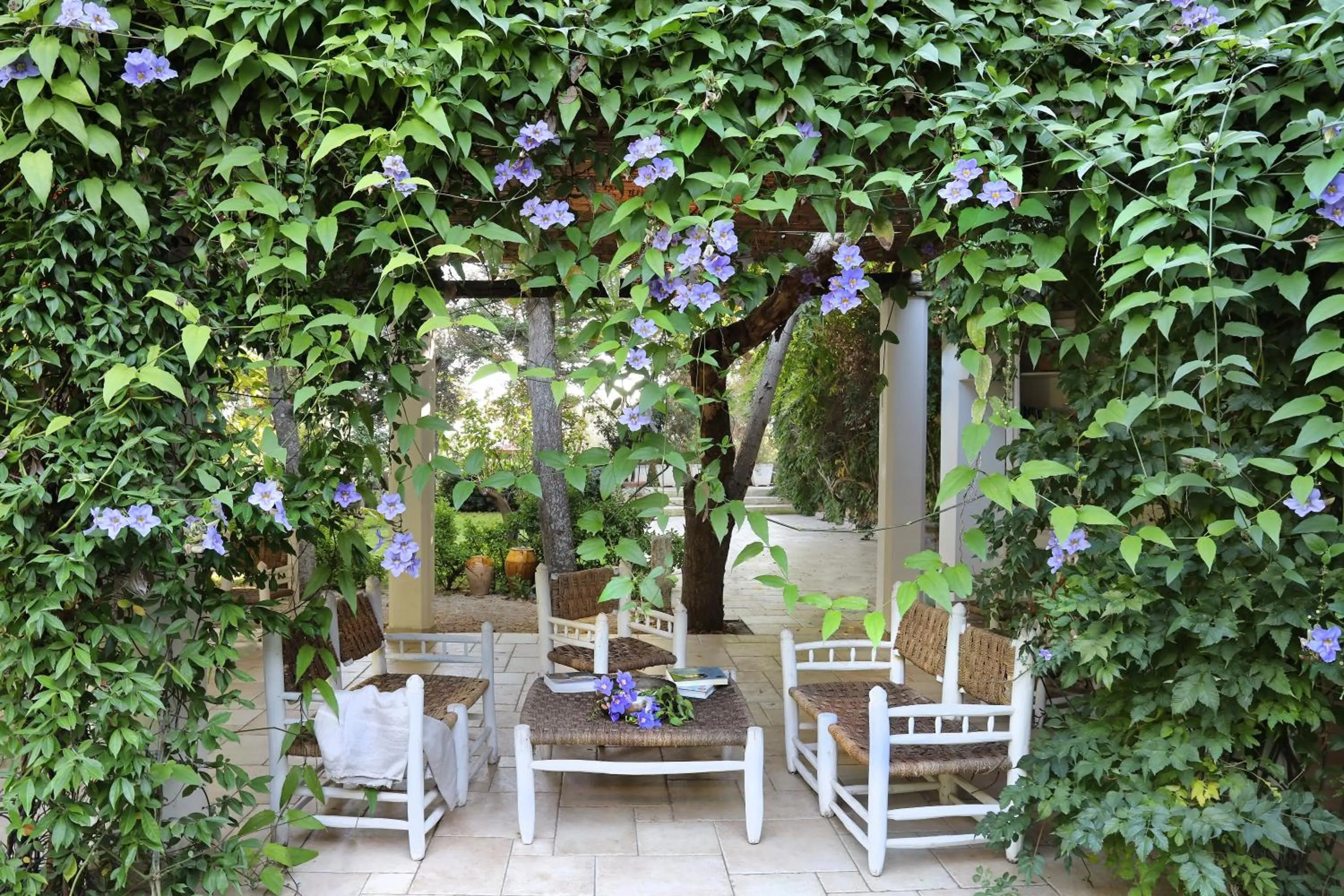 Garden in Maison D'Enrì