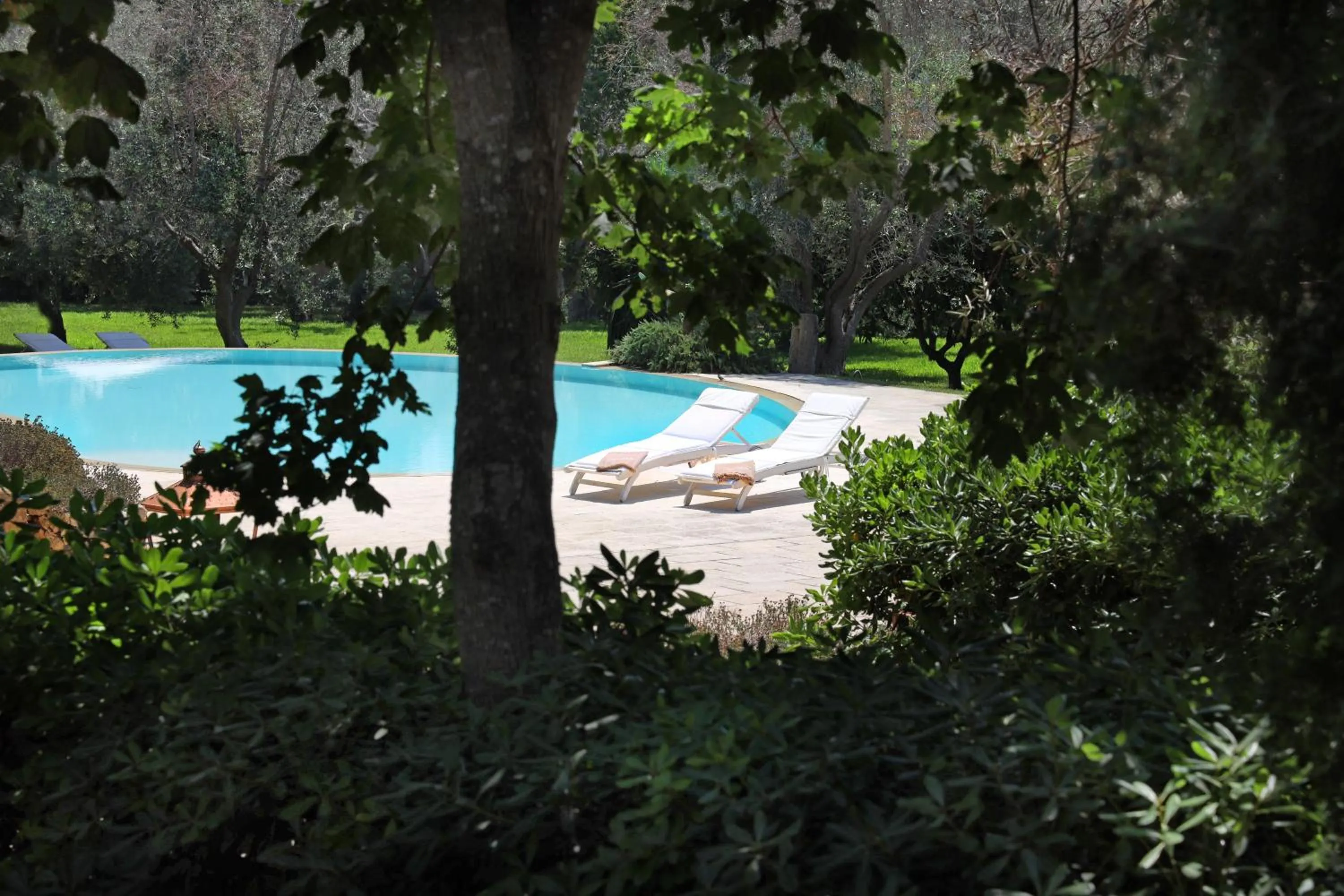 Spring in Maison D'Enrì