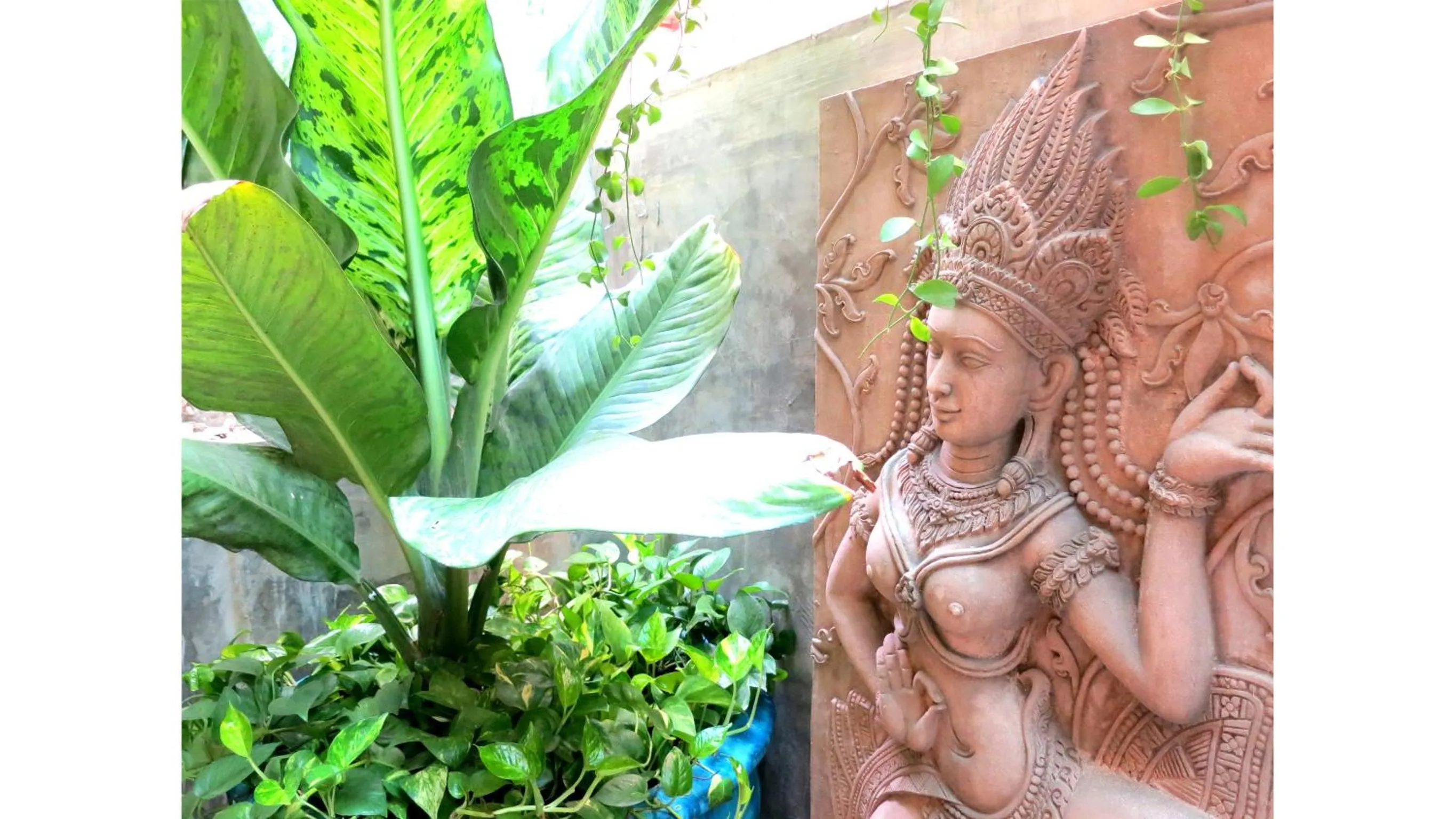 Decorative detail in Baipho Lifestyle