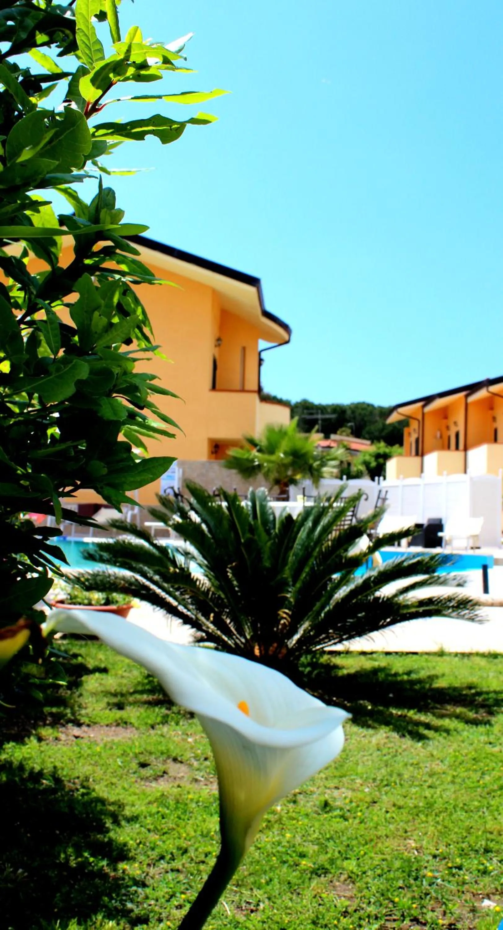 Garden in Conca Degli Dei