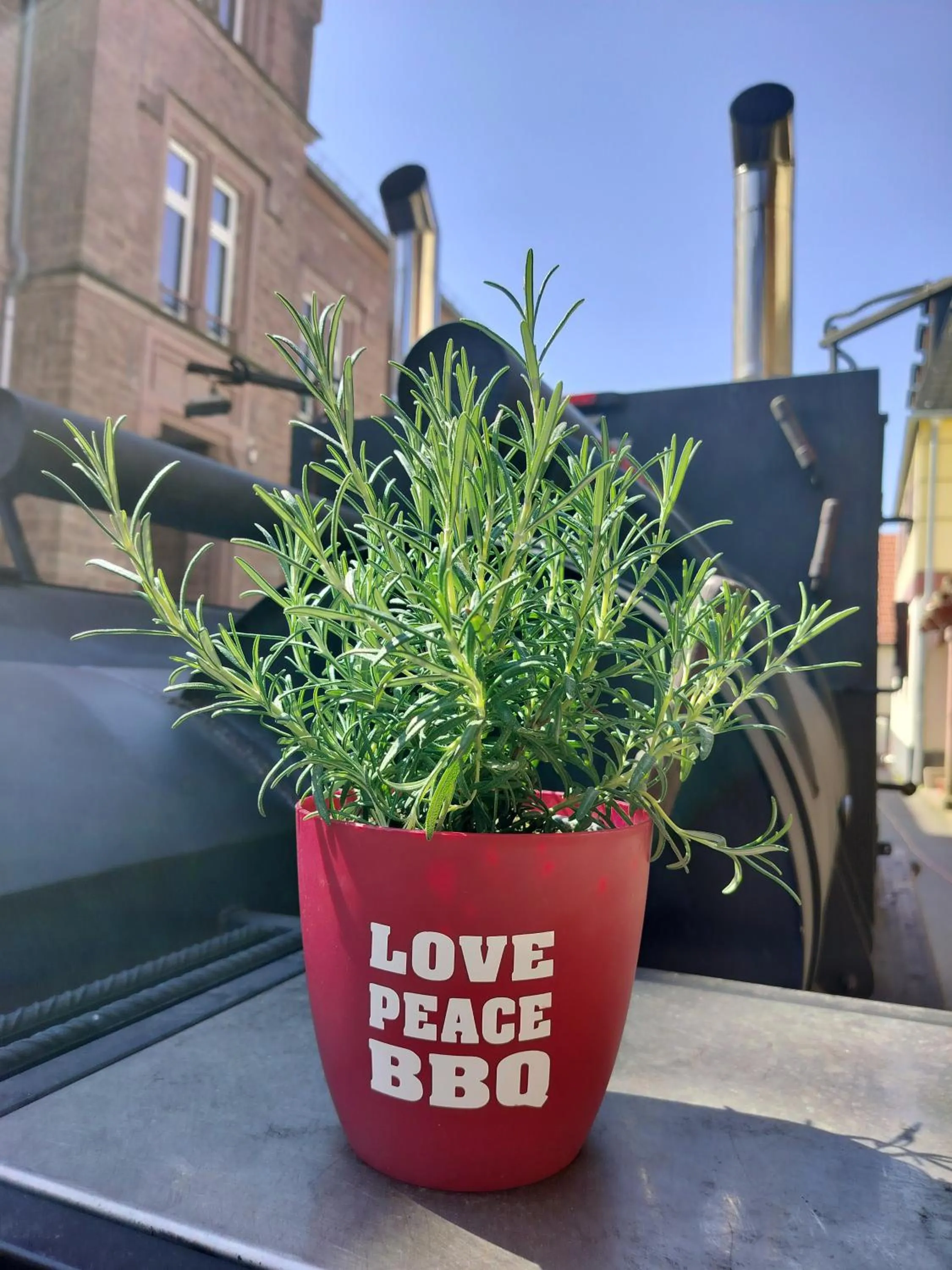 Restaurant/places to eat in Hotel Hirsch